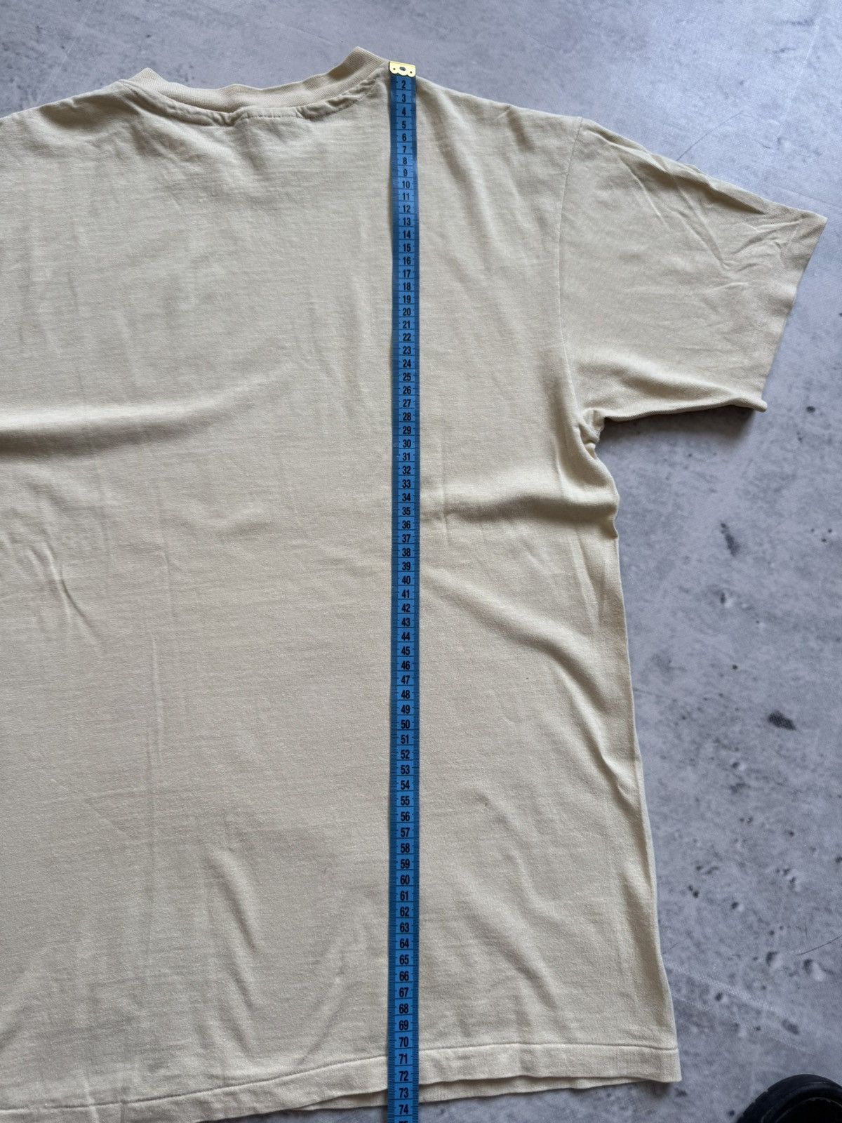Hanes × Other × Vintage Hanes vintage 90s tee beauty nature art Size US L / EU 52-54 / 3 - 8 Thumbnail