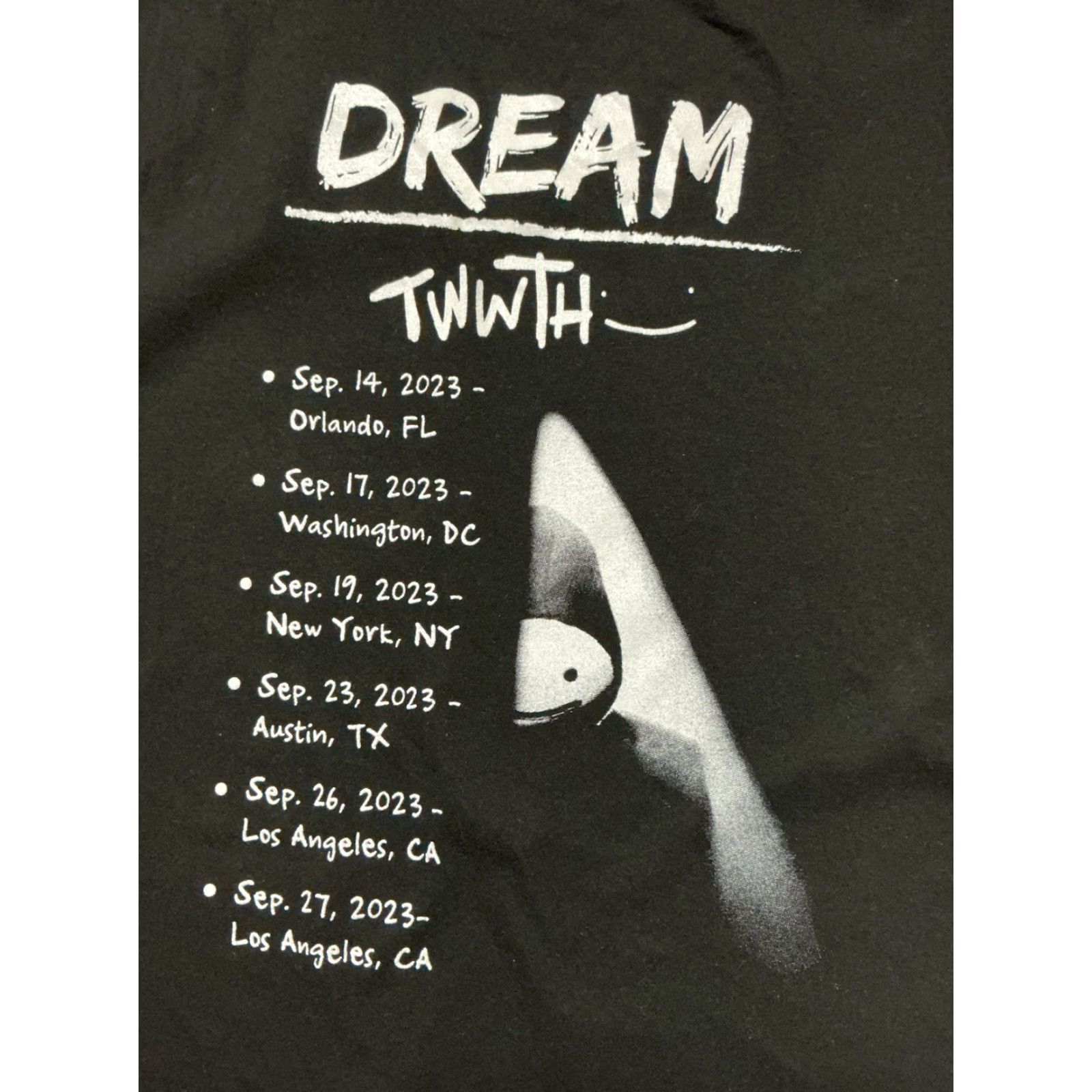 Vintage VINTAGE Dream Dreamwastaken TWWTH Subscriber 2023 Tour Black Graphic S/S T-Shirt L Mens Size US L / EU 52-54 / 3 - 7 Thumbnail