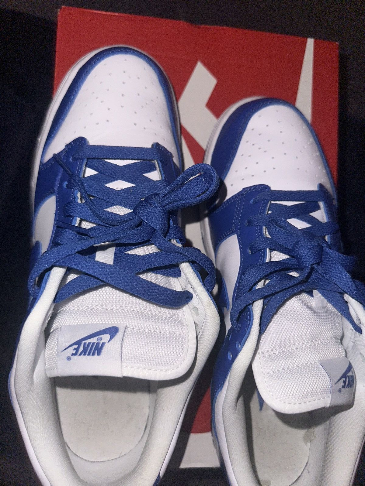 Nike Nike Dunk Low SP - Kentucky - 10.5 Size US 10.5 / EU 43-44 - 5 Thumbnail