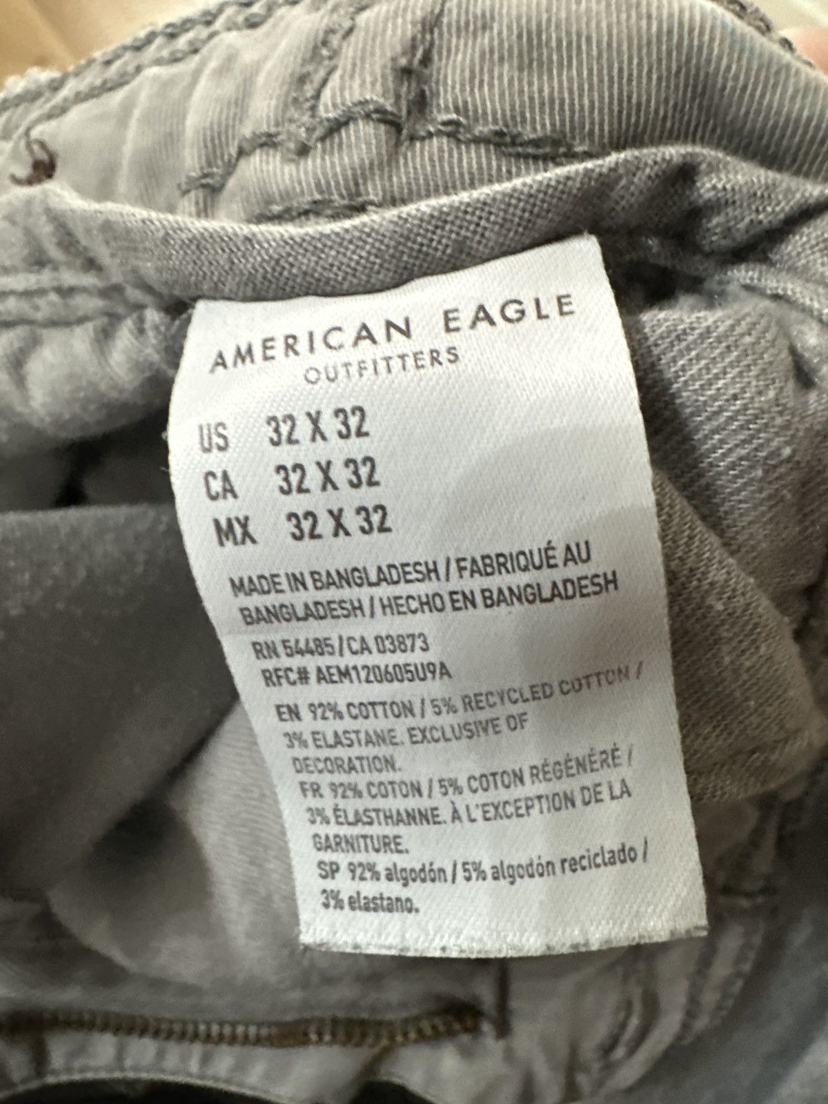 American Eagle Outfitters 32x32 Baggy Cargo pants Size US 32 / EU 48 - 4 Thumbnail