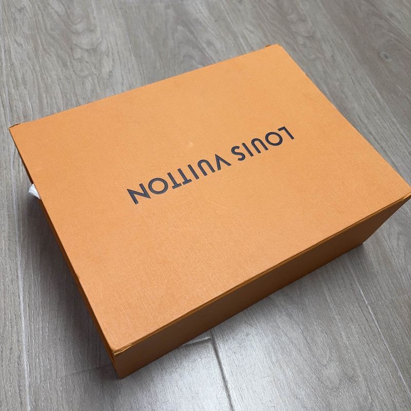 Louis Vuitton Louis Vuitton Trainer Low-Top Fashion Sneakers -2508 Size US 8 / EU 41 - 6 Thumbnail