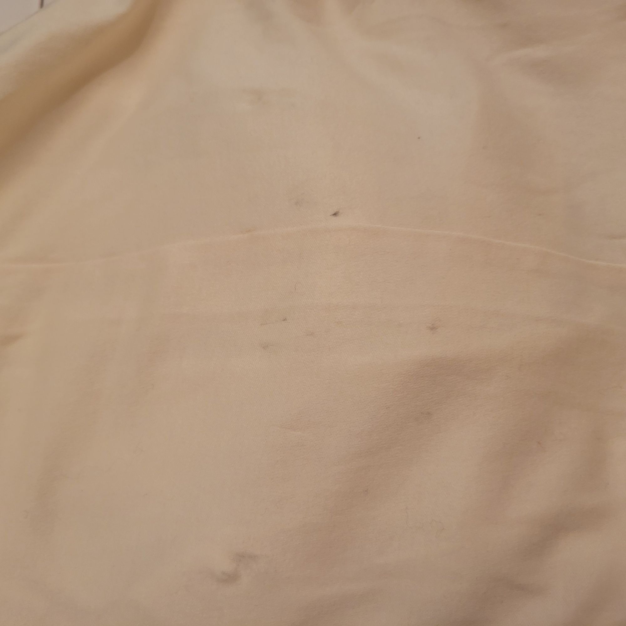 Everlane Everlane M Long Sleeve Button Down Shirt Dress Cotton Cream Size M / US 6-8 / IT 42-44 - 6 Thumbnail