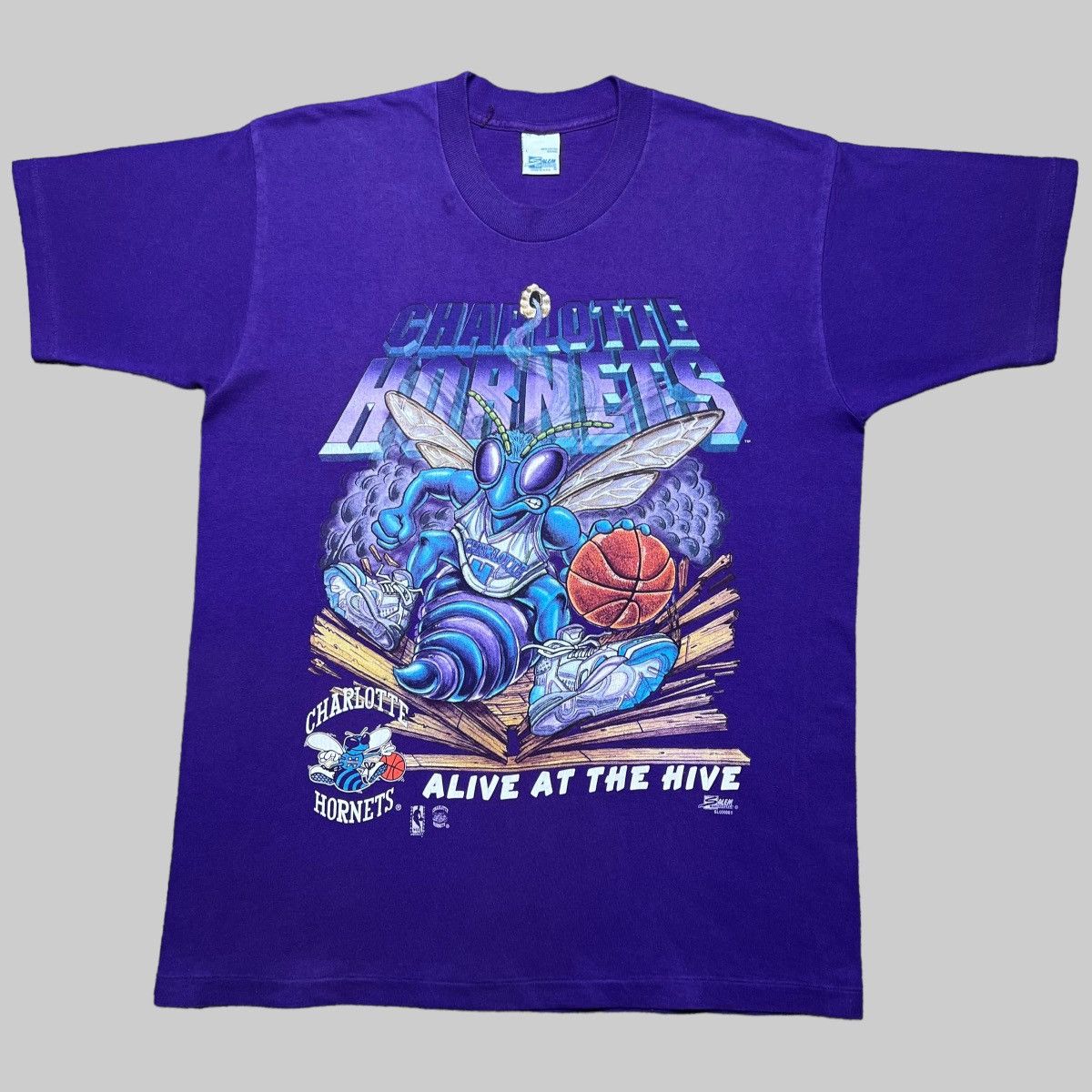 Image of Salem Vintage VTG Nba Charlotte Hornets Alive At Hive Salem Sportswear Tee in Purple (Size XL)