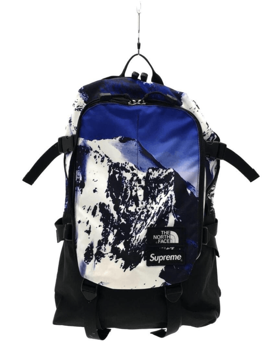 Supreme The North Face Expedition Backpack | Grailed