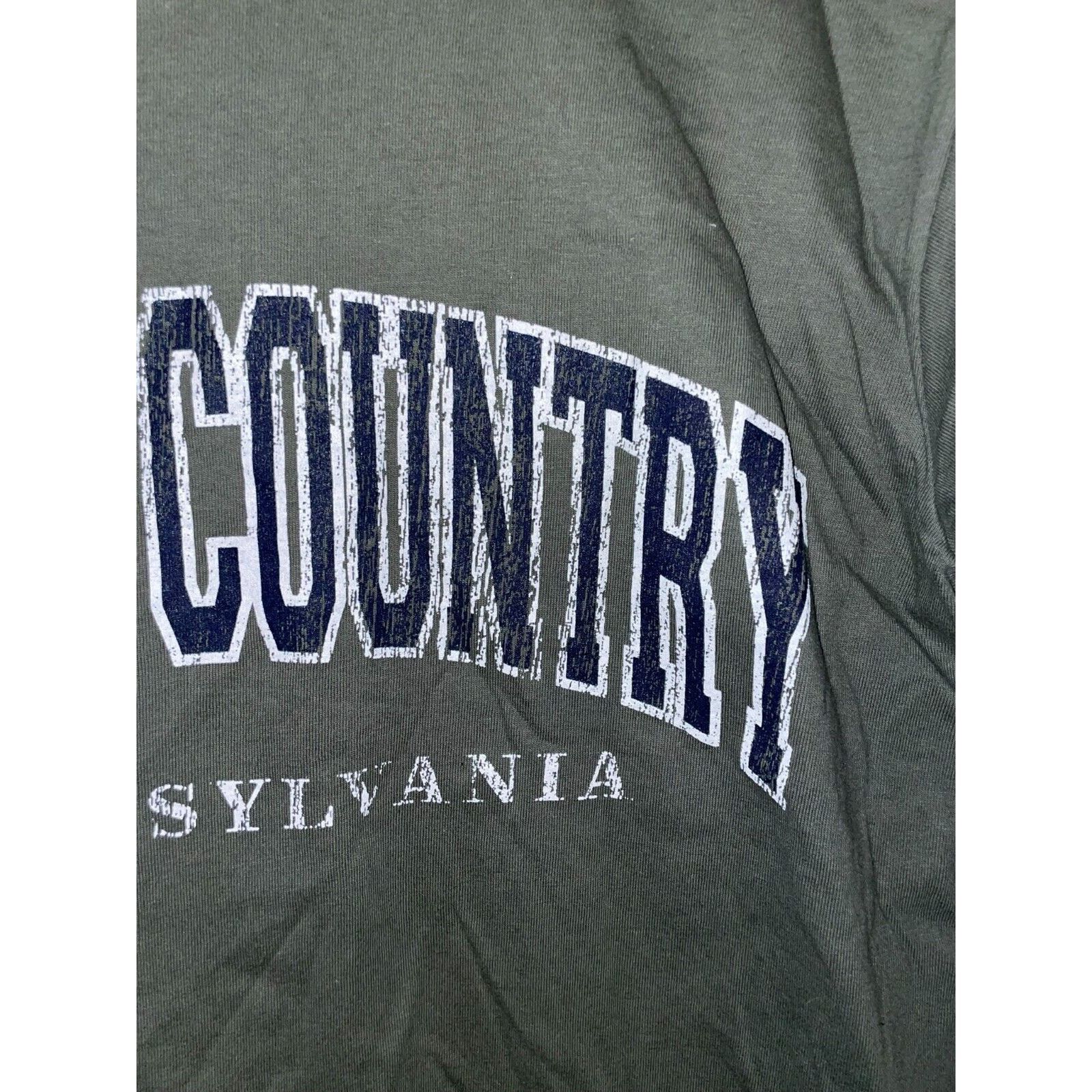 Anvil Vintage Amish Country Shirt Pennsylvania Green Tee VTG 90s M Size US M / EU 48-50 / 2 - 4 Thumbnail