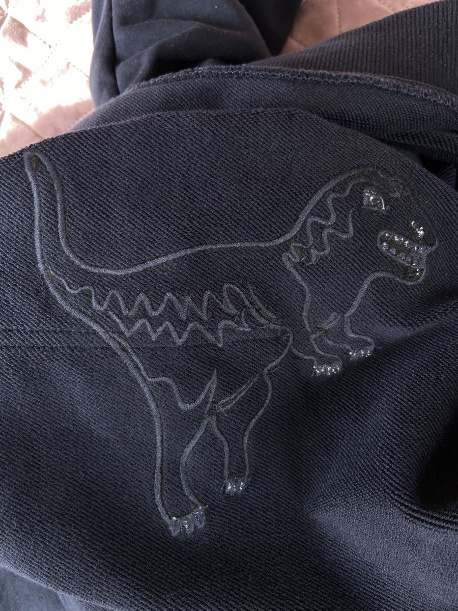 Coach Coach Rexy Patch Navy Hoody Size M Size US M / EU 48-50 / 2 - 3 Thumbnail