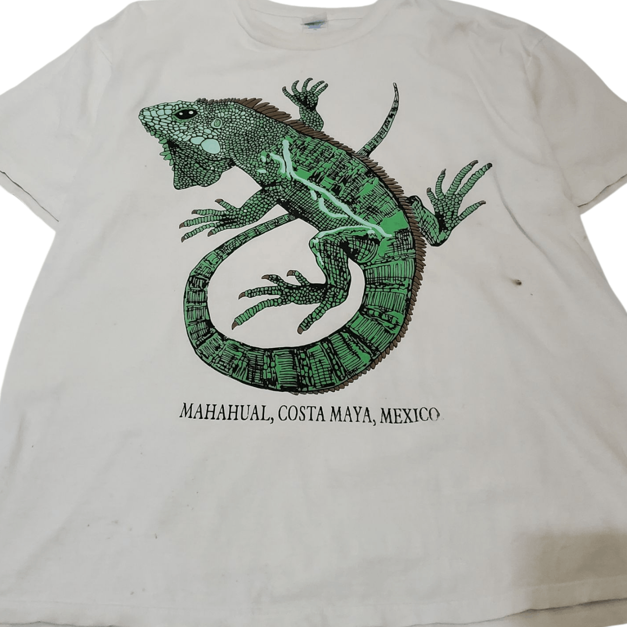 Vintage 90s Mexican Iguana T-Shirt Size US L / EU 52-54 / 3 - 2 Thumbnail