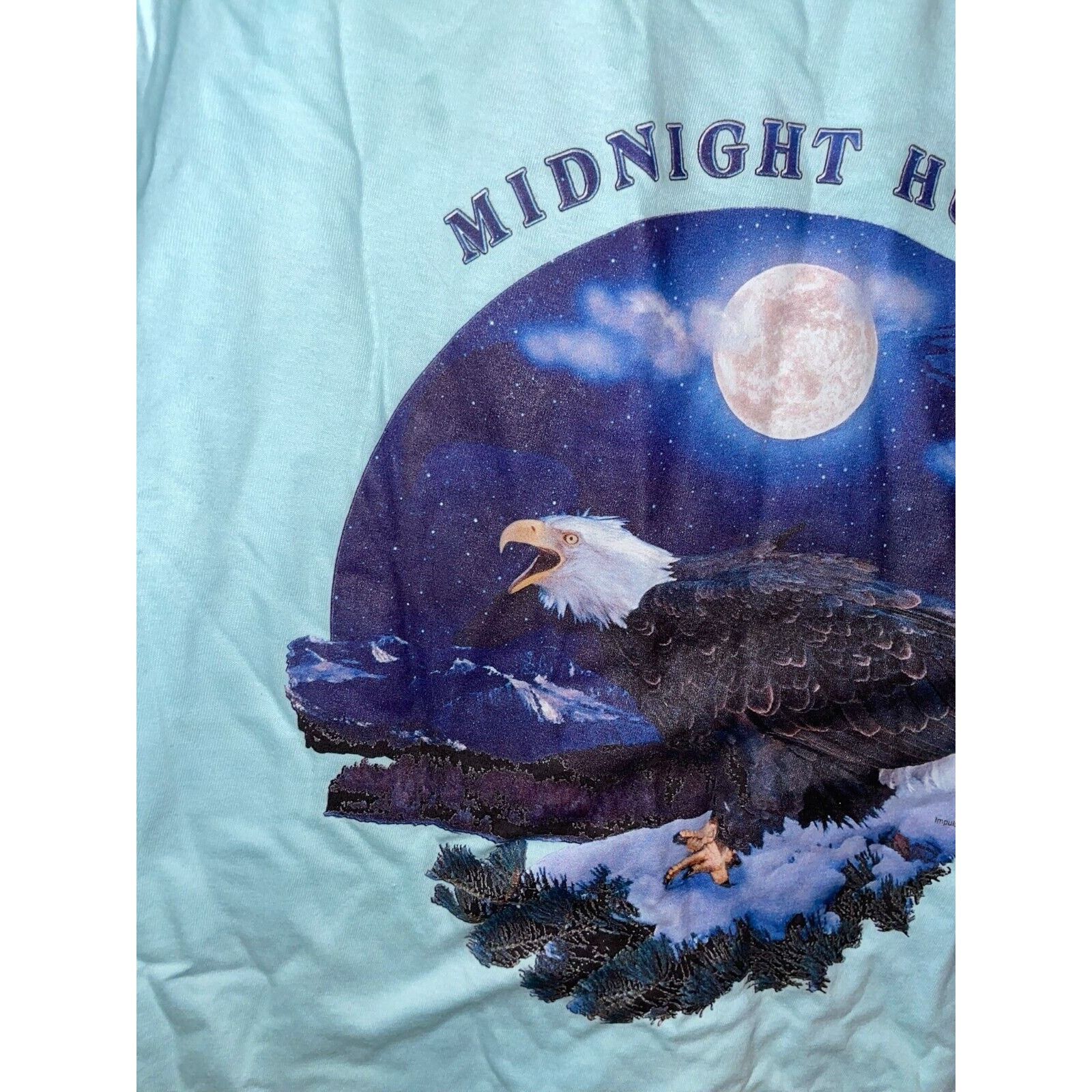Jerzees Vintage Been Ther Done That Test Print Blue Eagle S Tee 90s Size US S / EU 44-46 / 1 - 9 Thumbnail