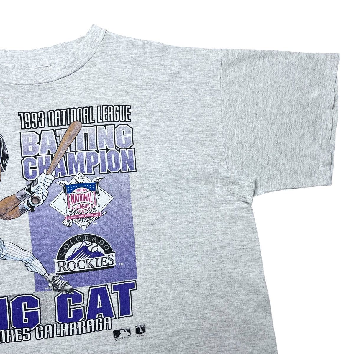 Salem Sportswear Vtg 1993 MLB Colorado Rockies Galarraga Salem Sportswear Tee Size US XXL / EU 58 / 5 - 9 Thumbnail