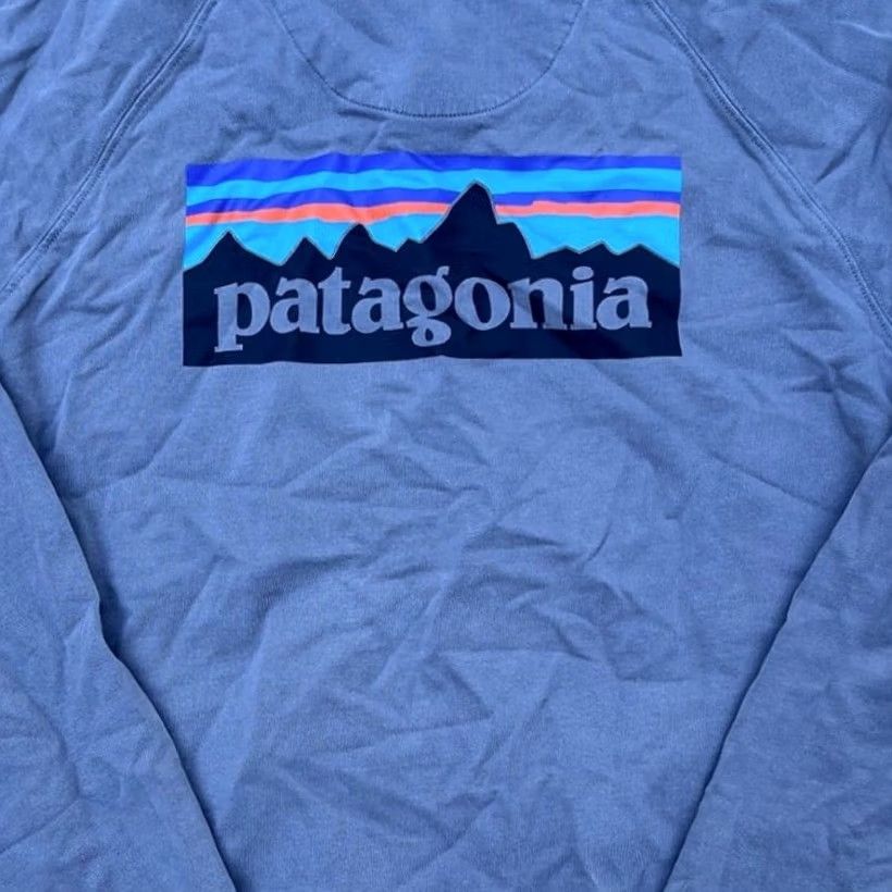 Patagonia Patagonia Sweatshirt Mens L Gray P-6 Logo Organic Crew Size US L / EU 52-54 / 3 - 5 Thumbnail