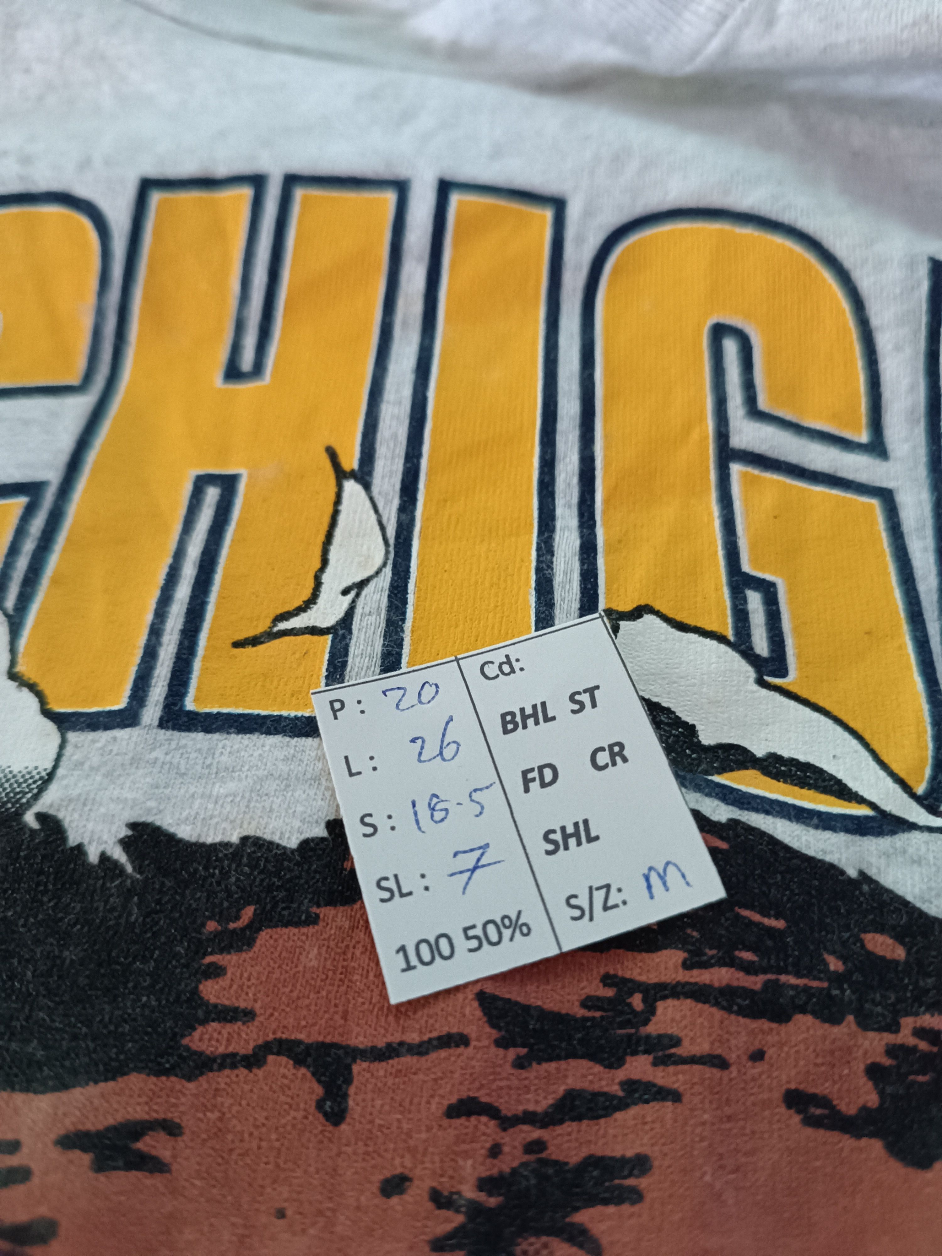 NFL VINTAGE 90'S MICHIGAN WOLVERINE BACKHIT TEE Size US M / EU 48-50 / 2 - 15 Thumbnail