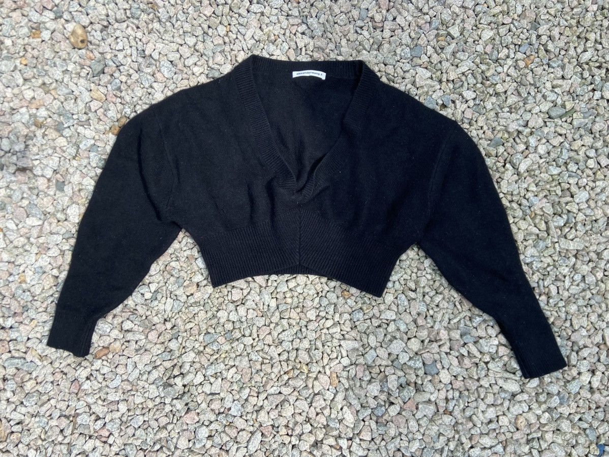 Alexander Wang × T by Alexander Wang alexander wang knit crop top v neck Size M / US 6-8 / IT 42-44 - 1 Thumbnail