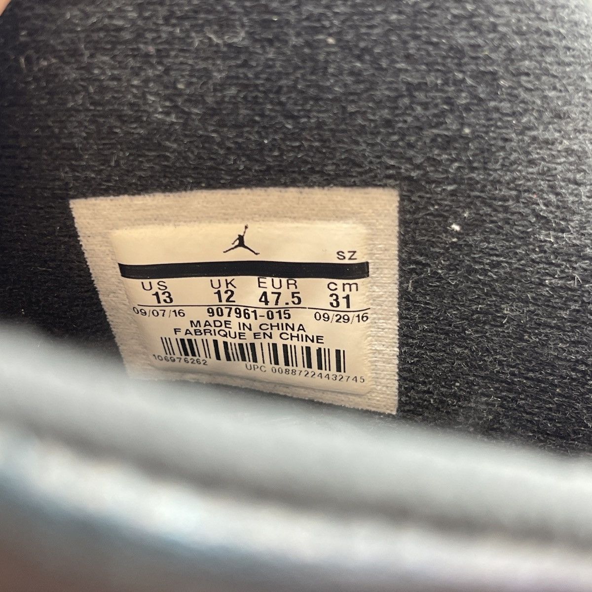 Air Jordan all Star chameleon