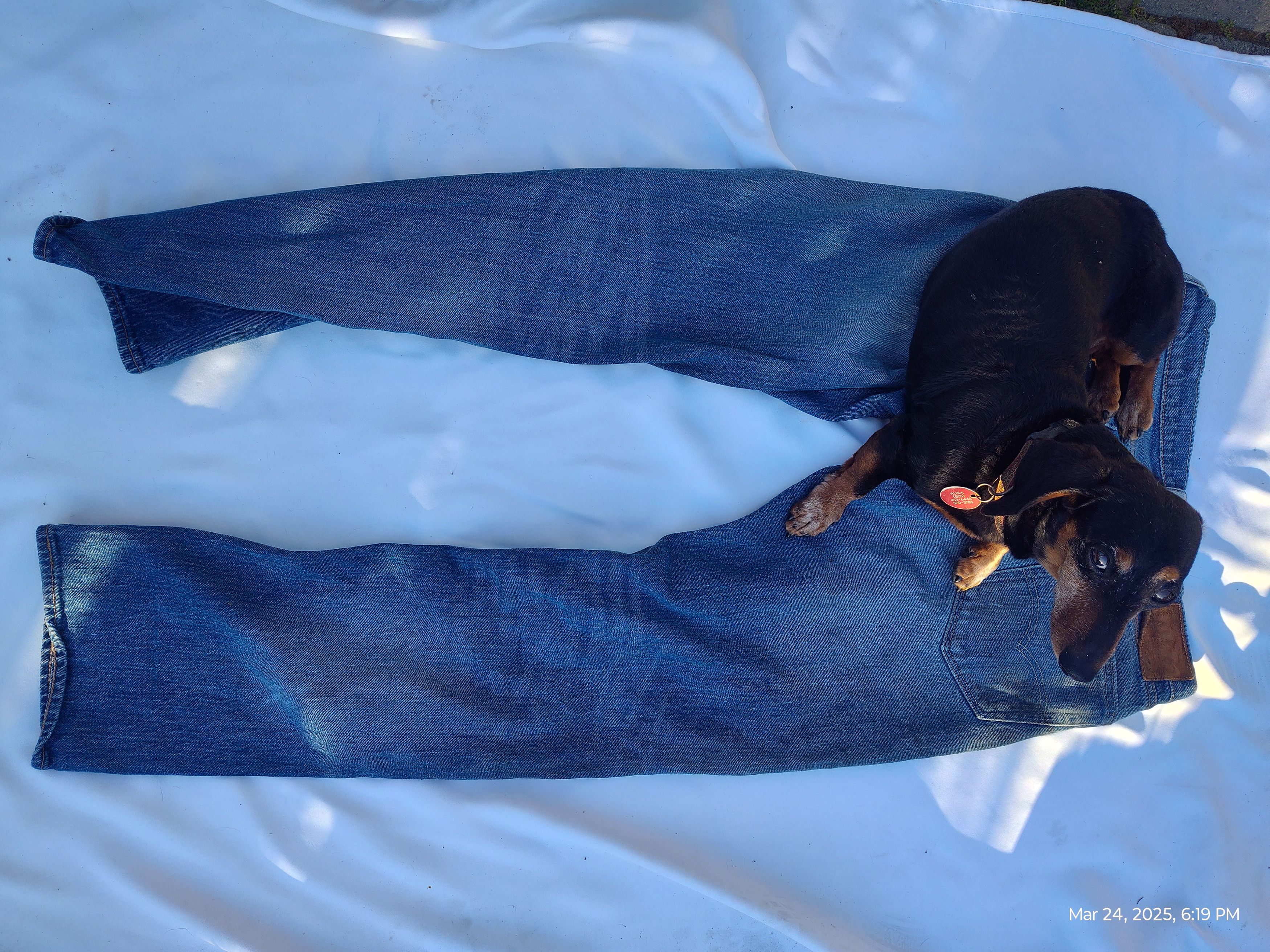 Levi's Levi's distressed Blue jeans Size US 34 / EU 50 - 1 Thumbnail