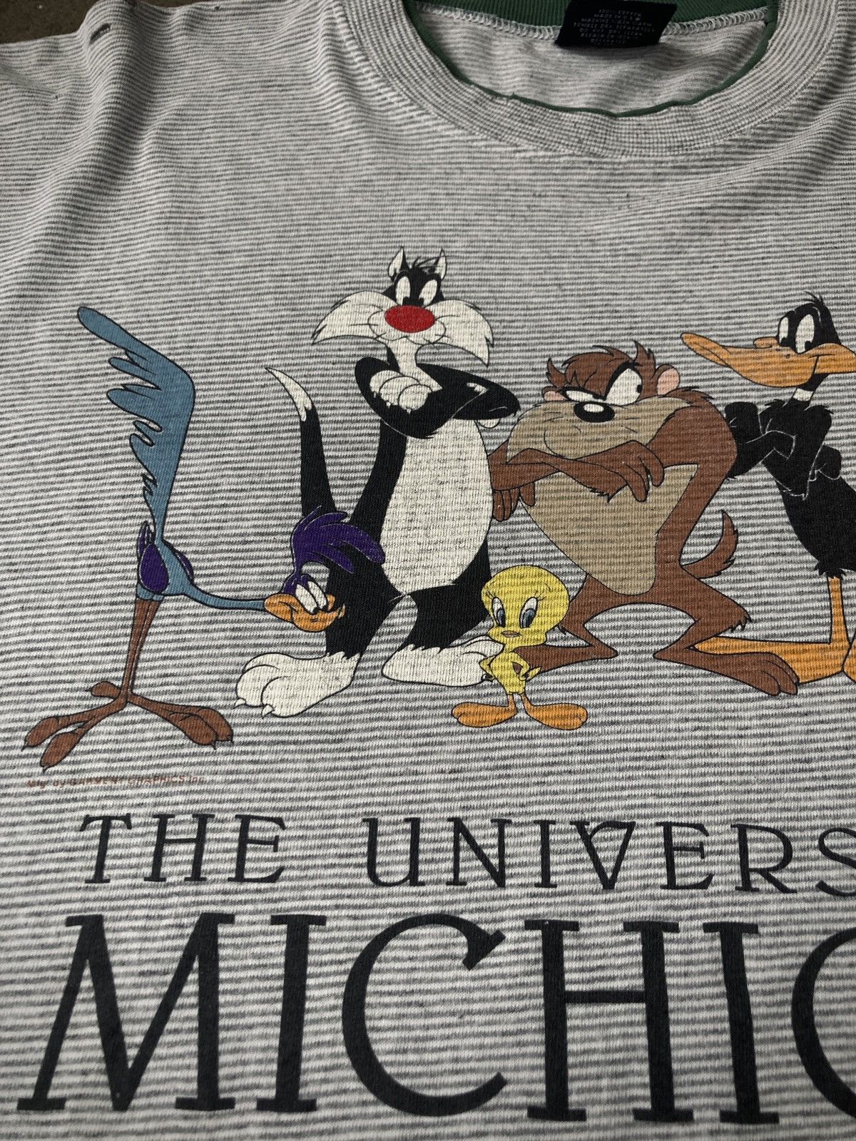 Vintage Vintage ‘93 University of Michigan Warner Bros Size US L / EU 52-54 / 3 - 7 Thumbnail