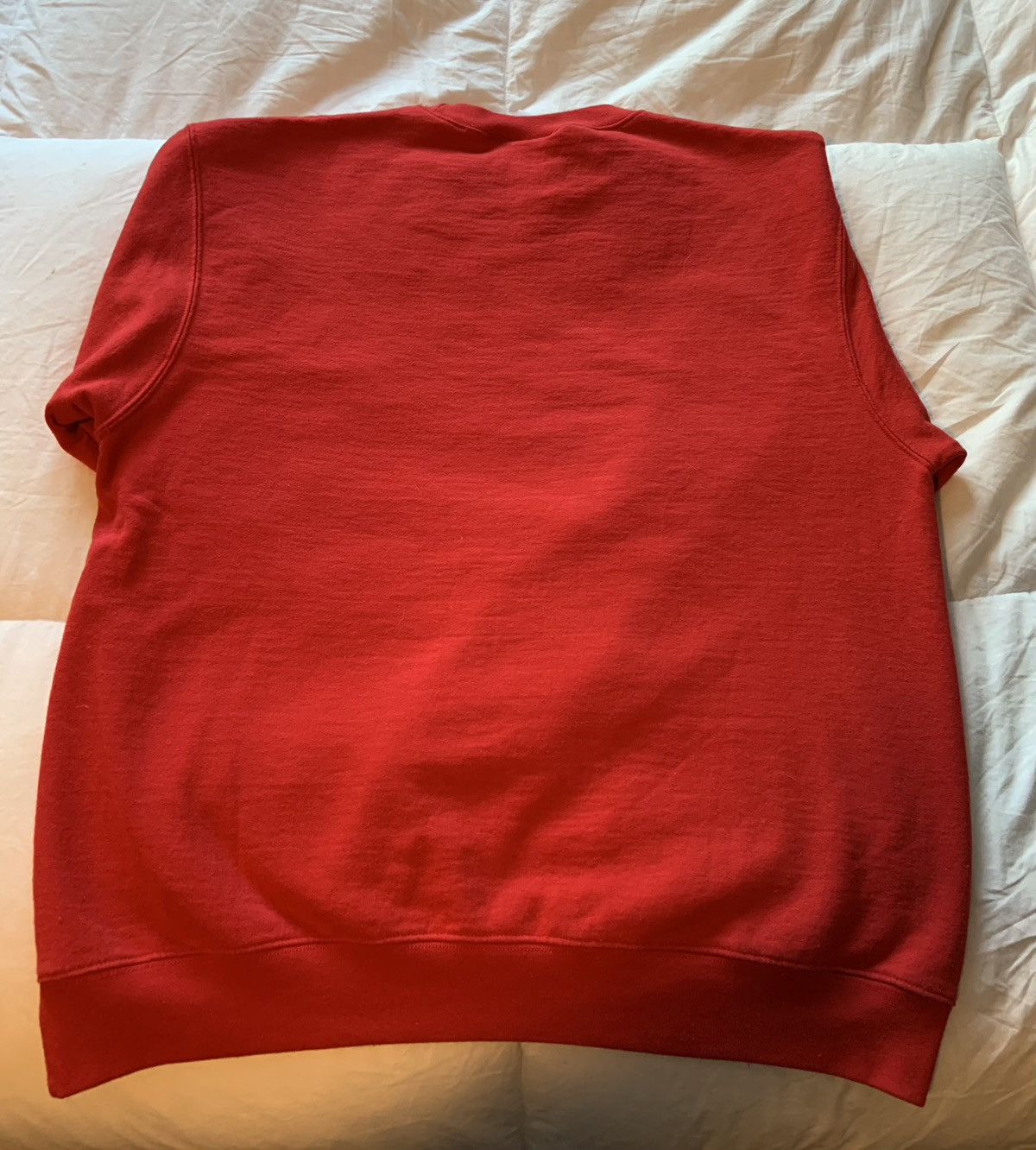 Champion Wisconsin Badgers Champion Fleece Sweatshirt Size US L / EU 52-54 / 3 - 2 Thumbnail