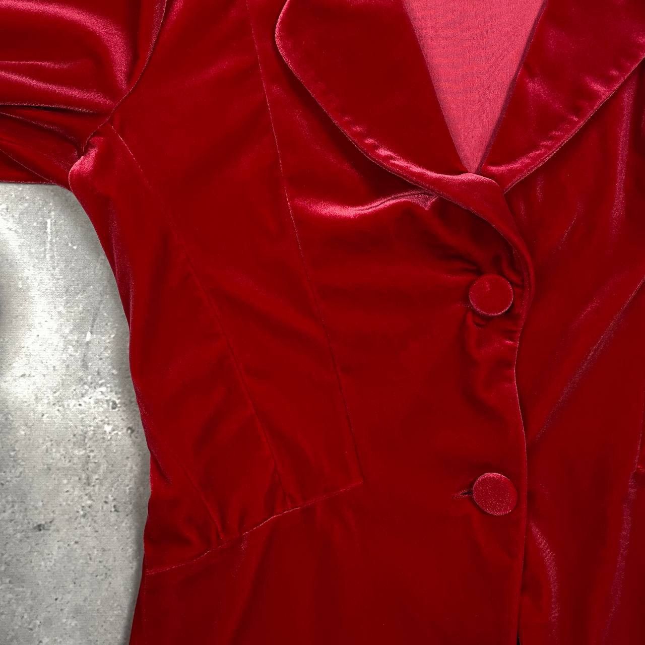Emporio Armani Emporio Armani Two Button Velour Blazer Women’s Red Size 46 Size L / US 10 / IT 46 - 16 Thumbnail