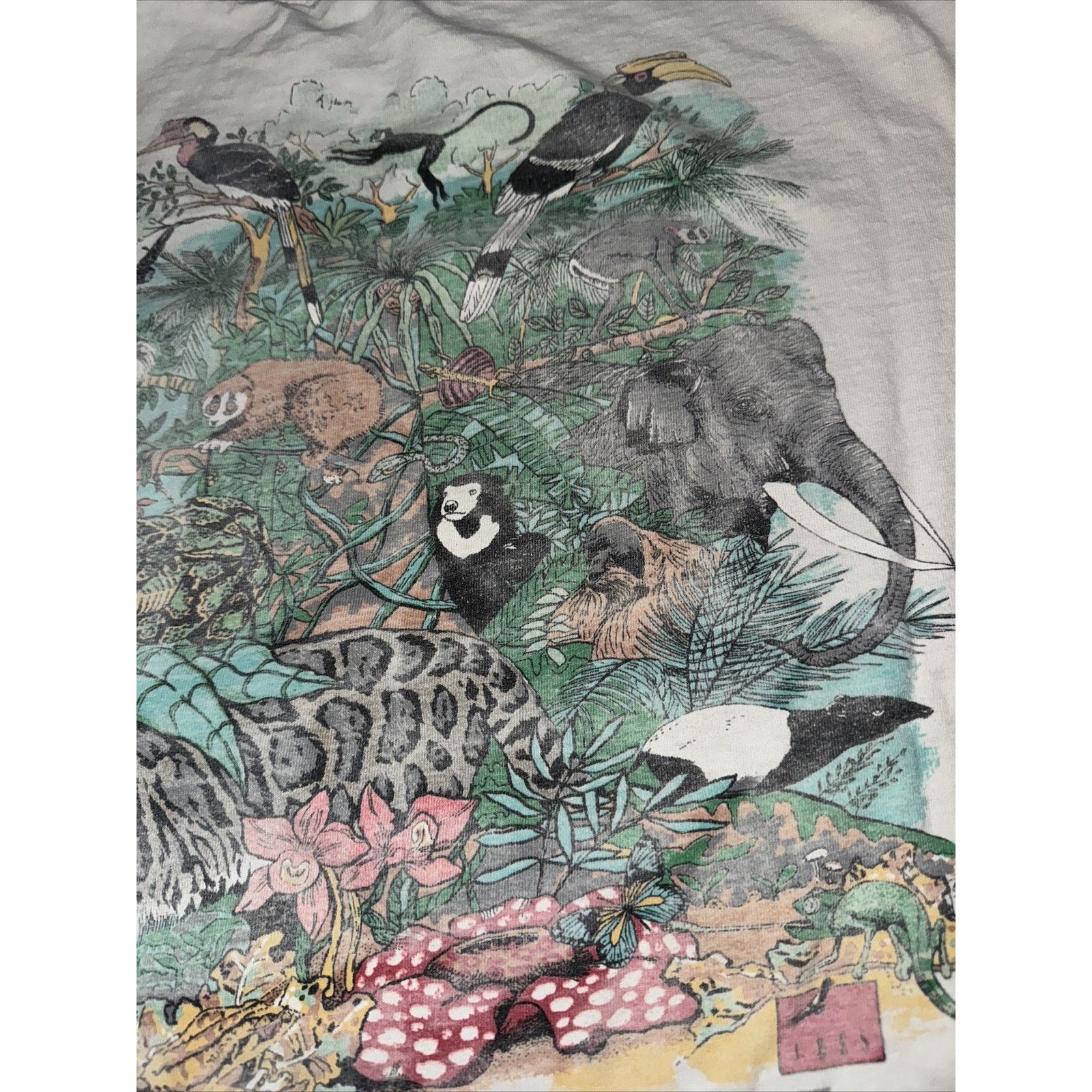 Band Tees × The Mountain Vintage Oneta San Diego Zoo T-Shirt White L 22x26 Tiger Size US L / EU 52-54 / 3 - 12 Thumbnail