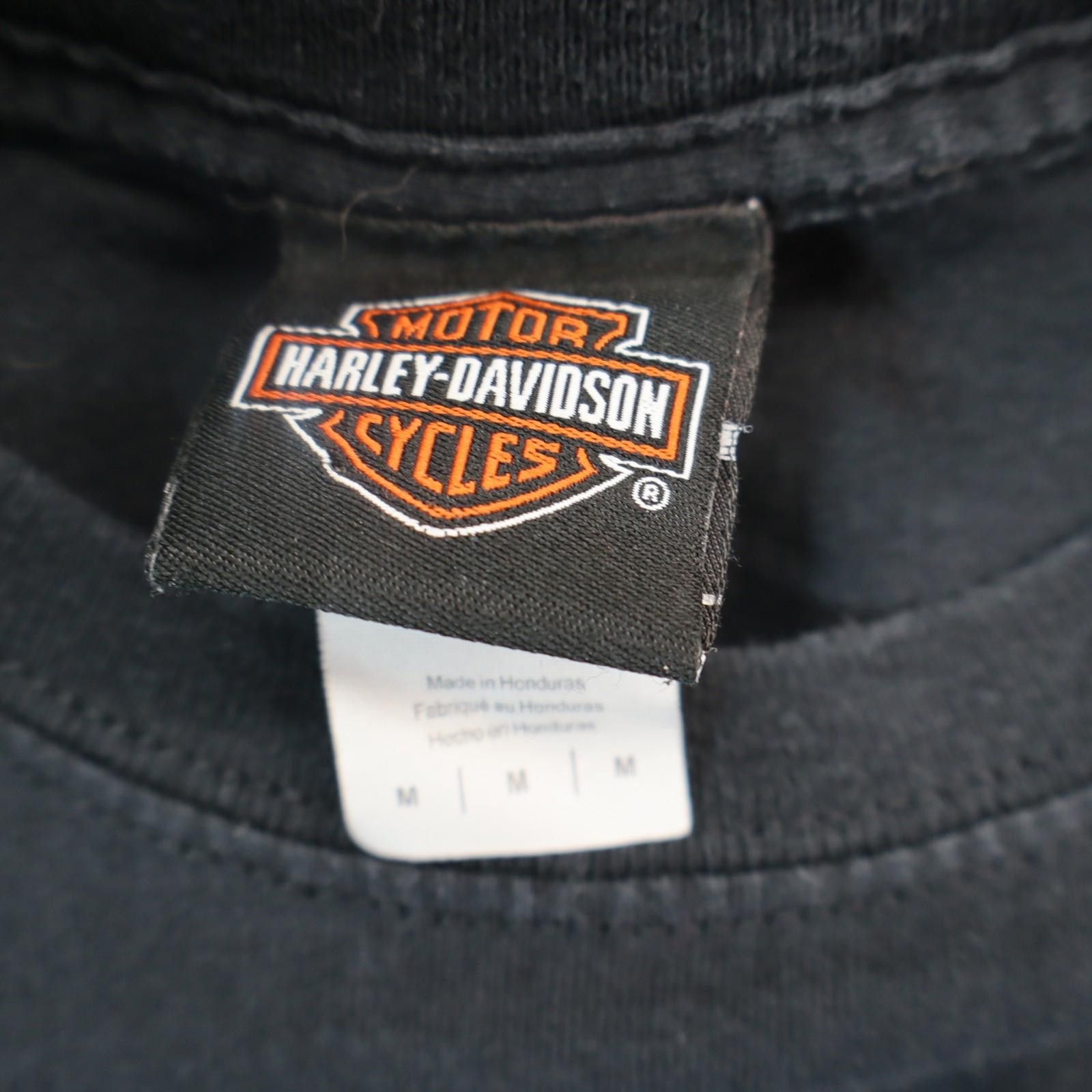 Harley Davidson Harley Davidson T Shirt, Smoky Mtn NC, Men Medium Black HD Size US M / EU 48-50 / 2 - 7 Thumbnail
