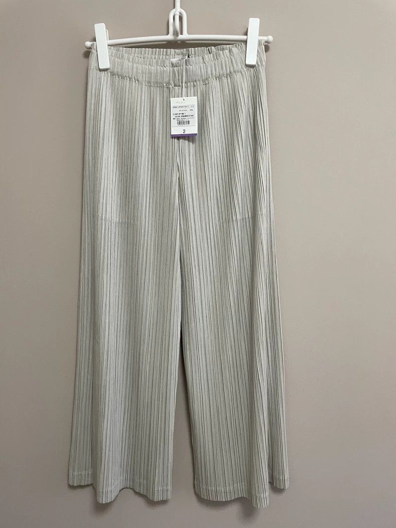 Issey Miyake Issey Miyake Grey pleated pants Size 25" / US 0 / IT 36 - 1 Thumbnail