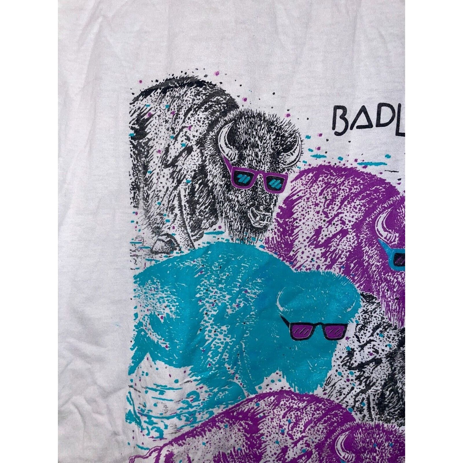 Jerzees Vintage Big Sky Shirt Badlands Buffalo Tee Test Print 90s M Size US M / EU 48-50 / 2 - 9 Thumbnail