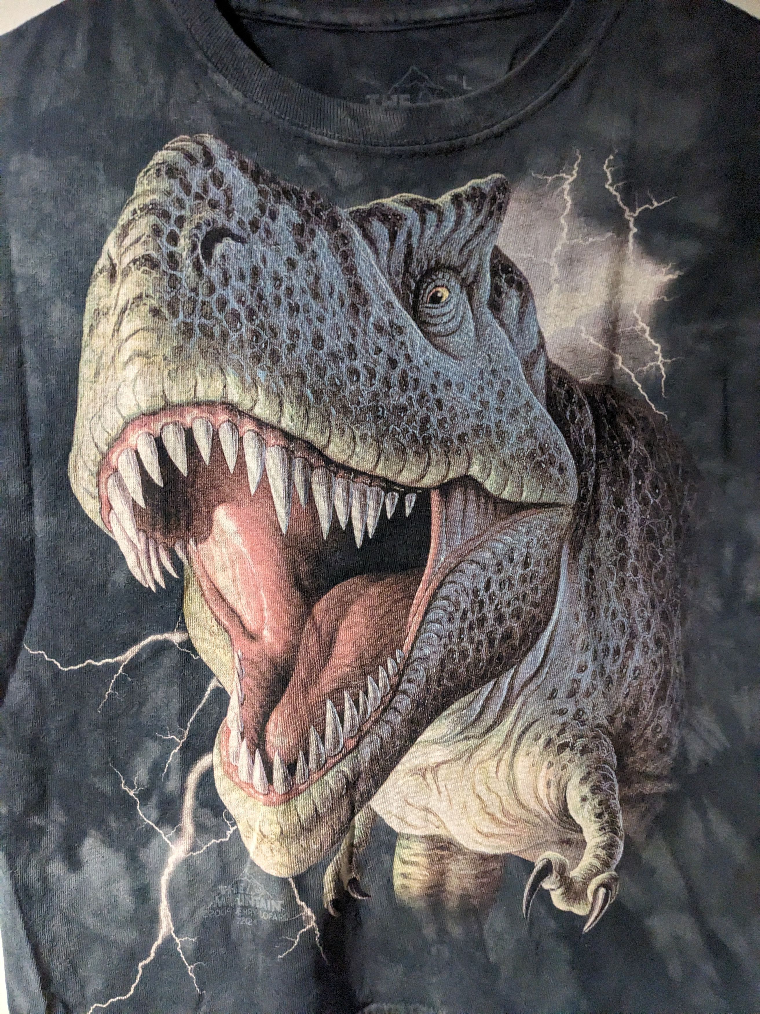 The Mountain Vintage 2009 The Mountain Dinosaur Lighting Kids T-Shirt Size US L / EU 52-54 / 3 - 2 Thumbnail