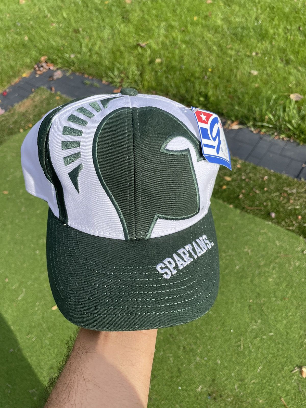 image of American College x The Game Big Logo Msu Spartans Michigan State Vintage Hat in Green, Men's