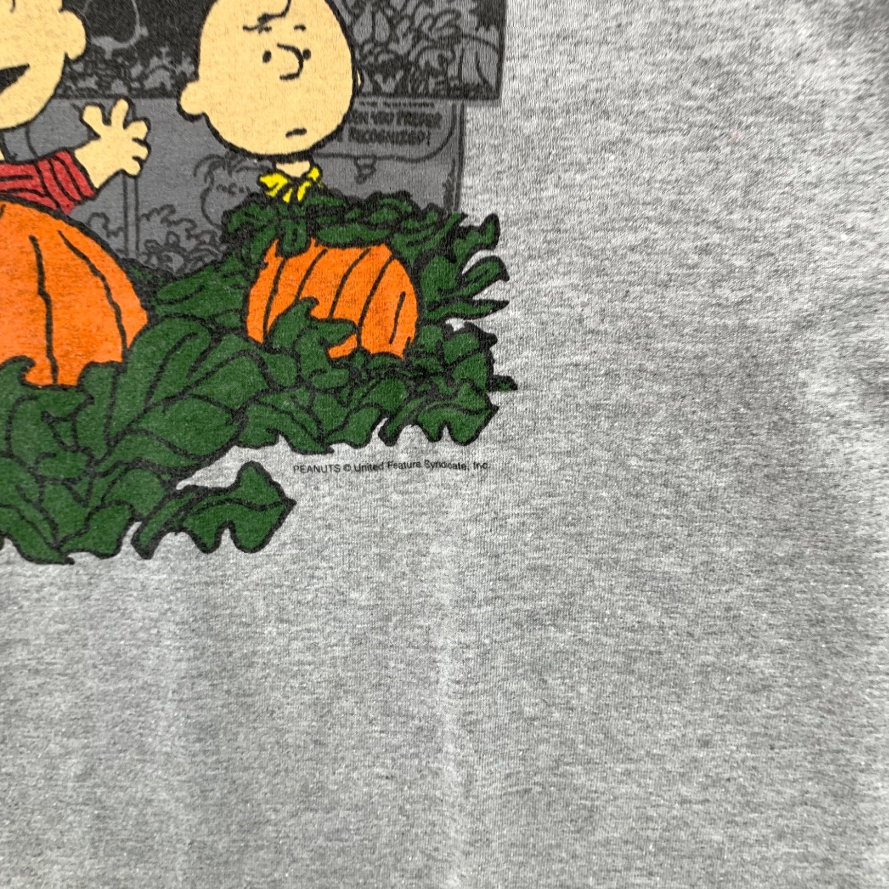Peanuts VINTAGE Peanuts Halloween Shirt Mens XL Gray Charlie Brown Snoopy | Peanuts Shirt | Halloween | Gray | XL | Mens | Vintage Size US XL / EU 56 / 4 - 6 Thumbnail