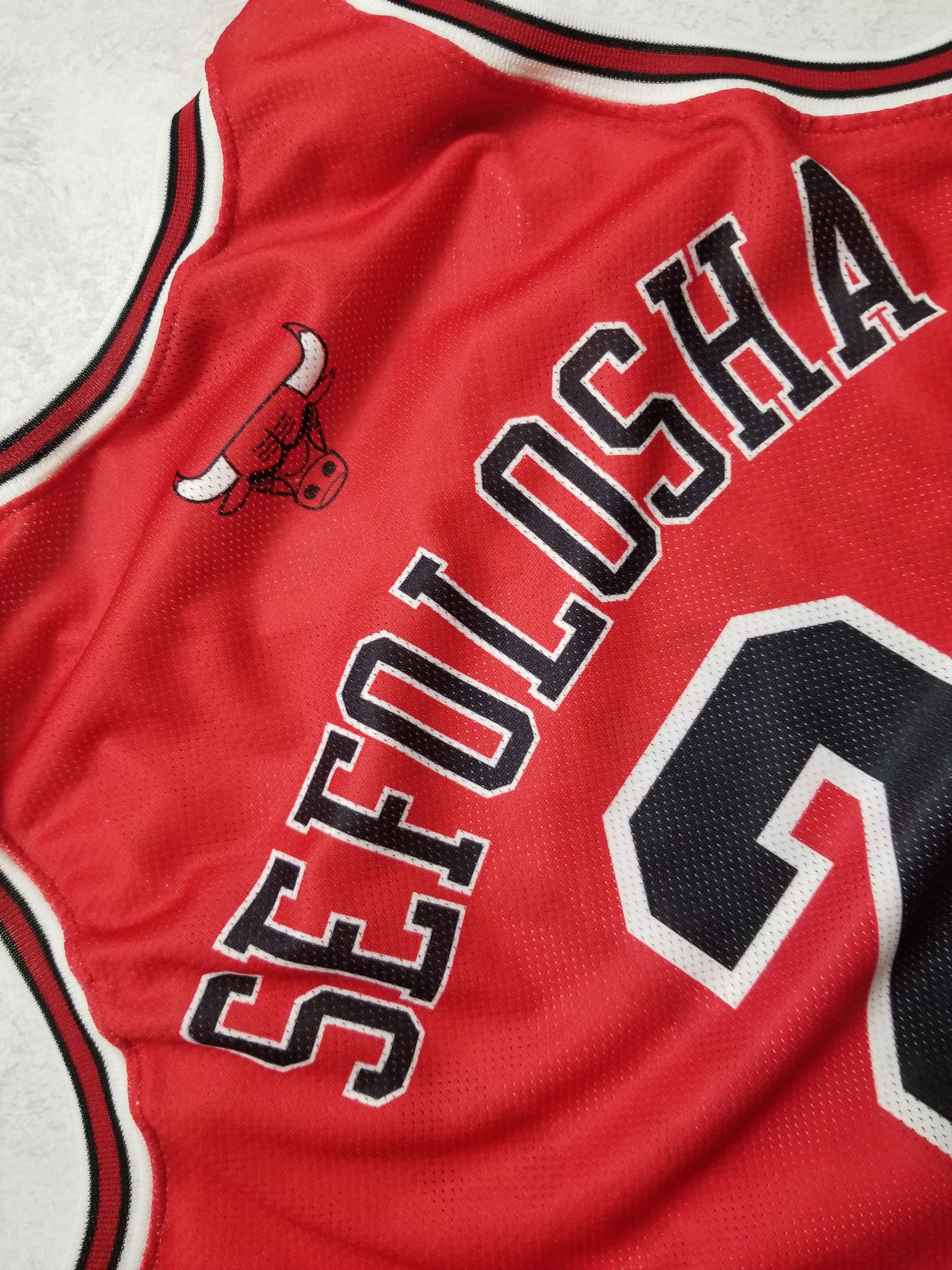 Champion VINTAGE CHAMPION #2 THABO SEFOLOSHA CHICAGO BULLS JERSEY Size US M / EU 48-50 / 2 - 5 Thumbnail