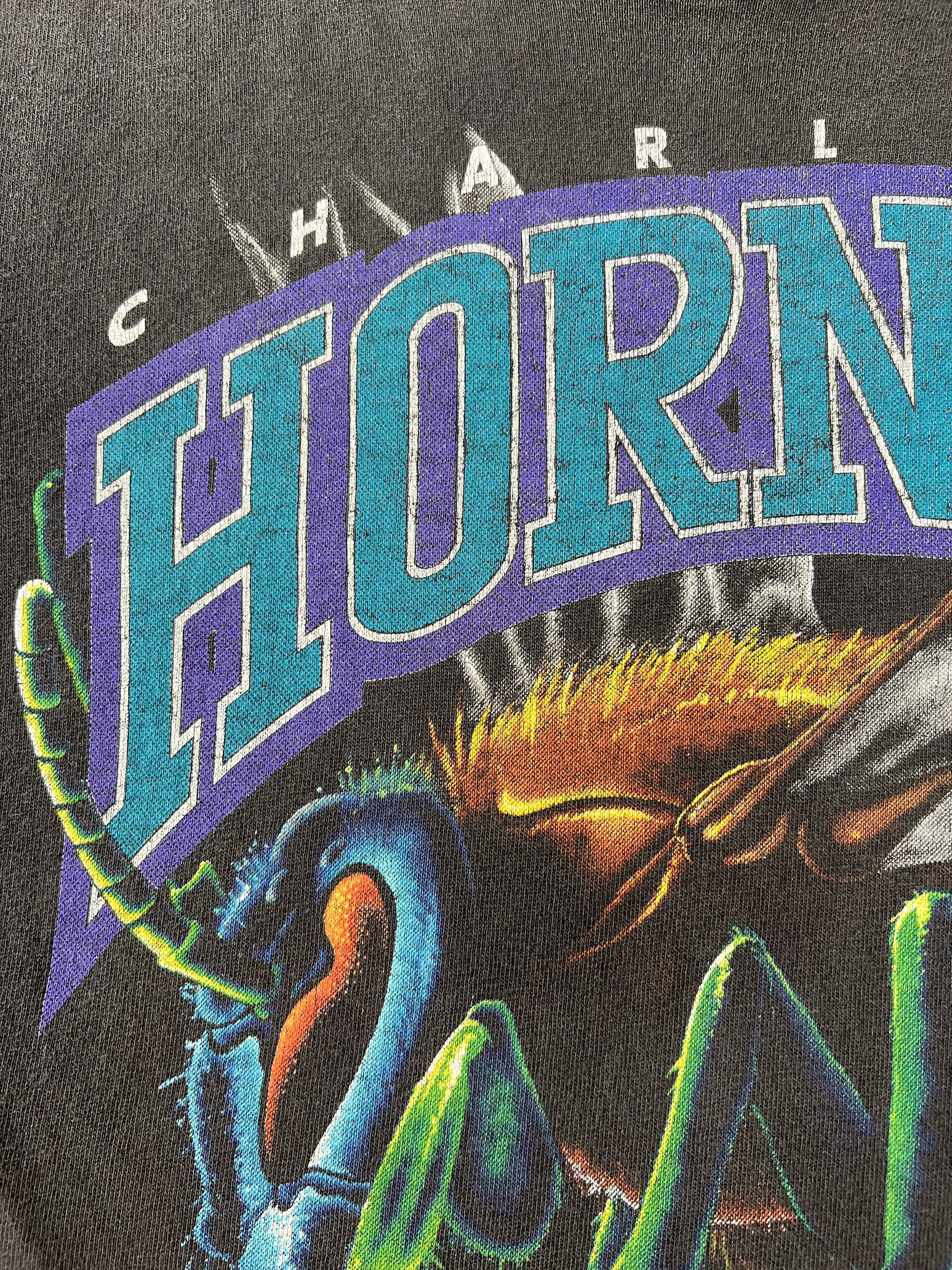 NBA Vintage 90s Charlotte Hornets NBA Salem Sportswear T-shirt Size US S / EU 44-46 / 1 - 6 Thumbnail