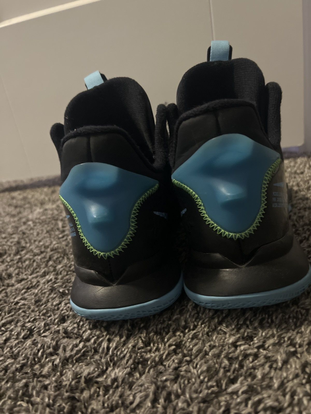 Lebron Witness, image size:1200x1600