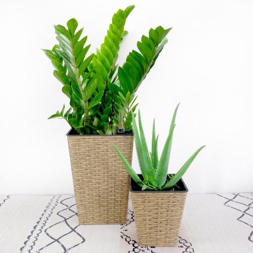 Designer × Homemade 2-Pack Smart Self-watering Square Planter for Indoor and Out Size US L / EU 52-54 / 3 - 1 Thumbnail