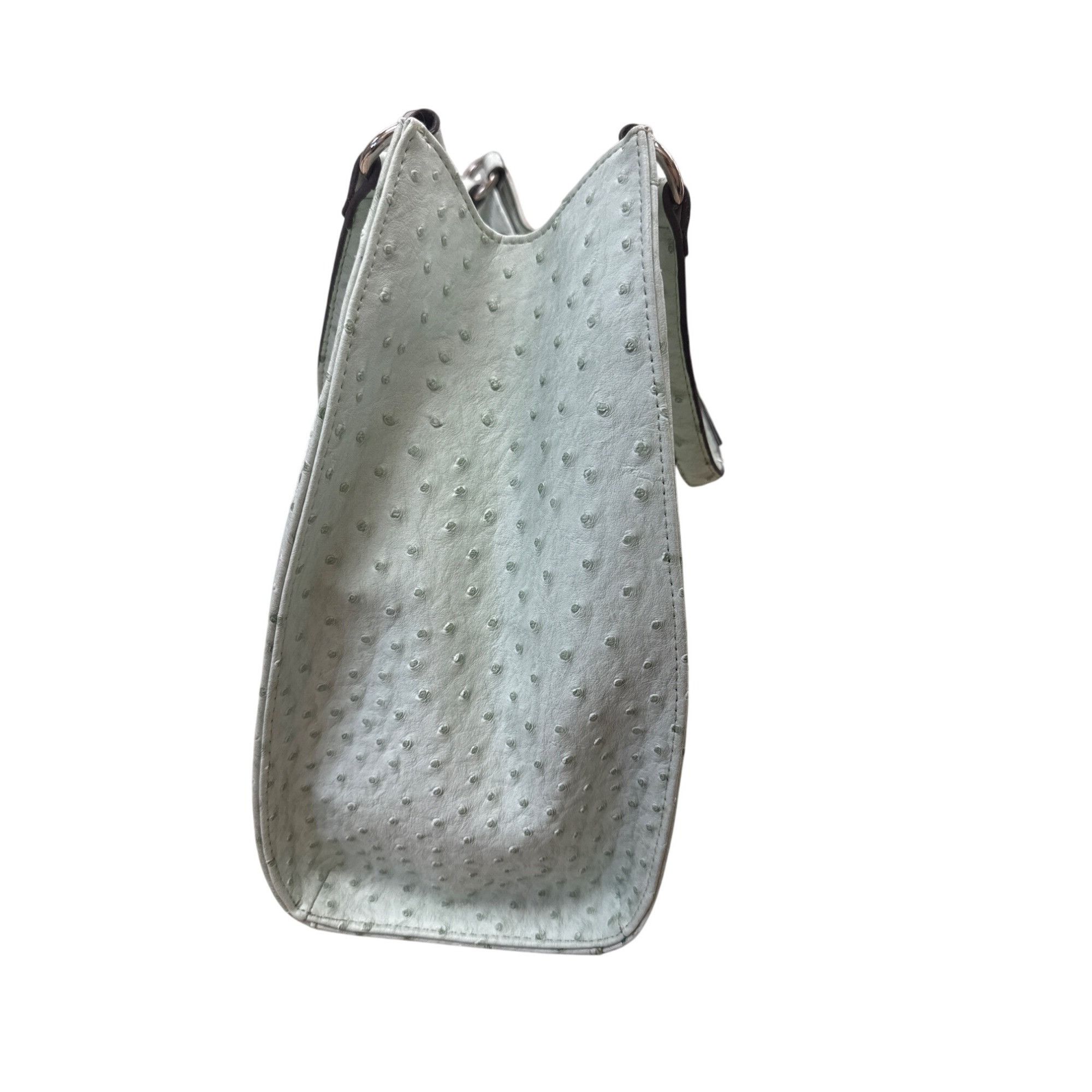 Designer Mondani NY Womens Mint Green Ostrich-Embossed Handbag Purse Size ONE SIZE - 4 Thumbnail