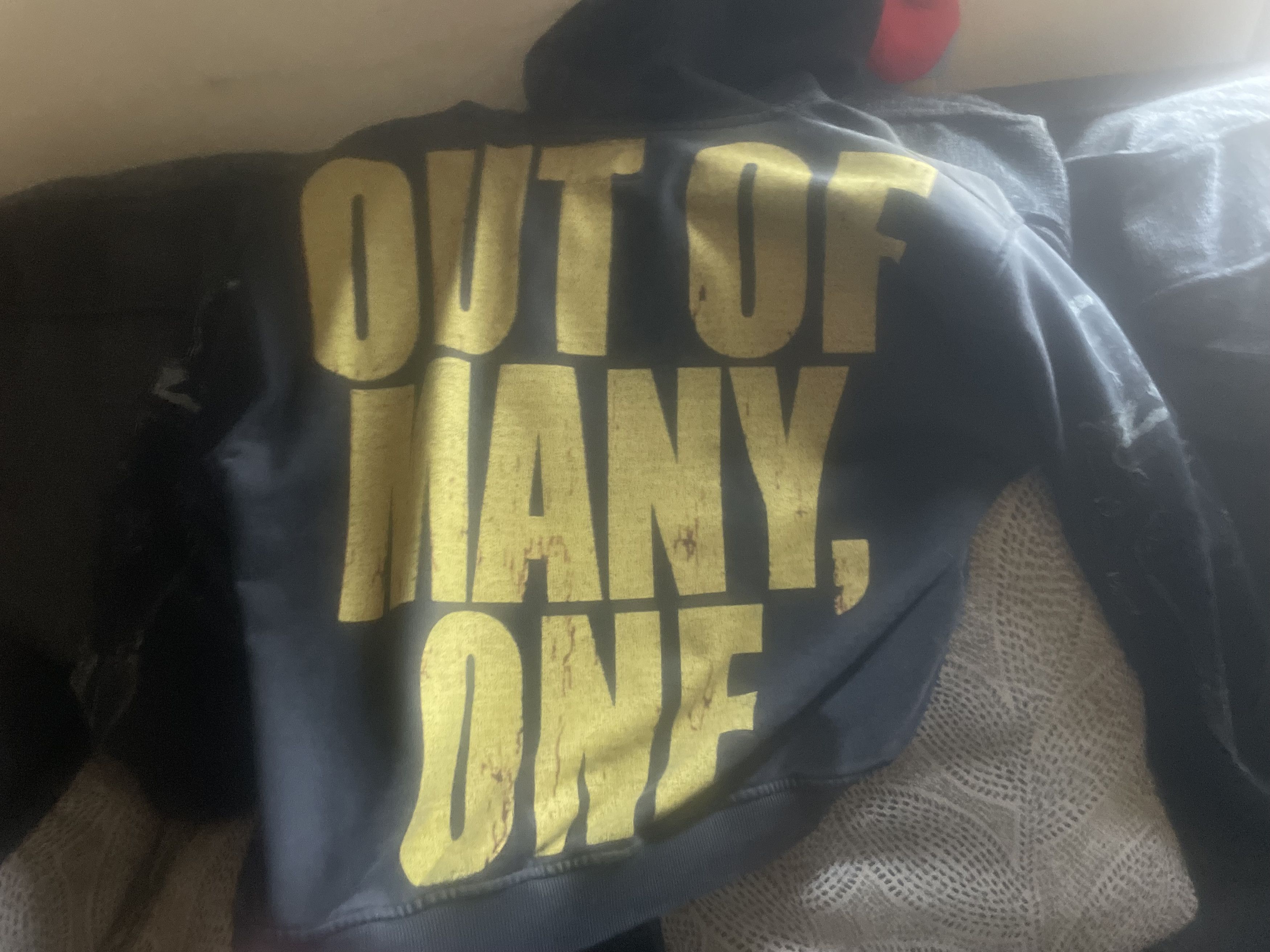 Godspeed Godspeed Alexa Hoodie Size Small Size US S / EU 44-46 / 1 - 5 Thumbnail