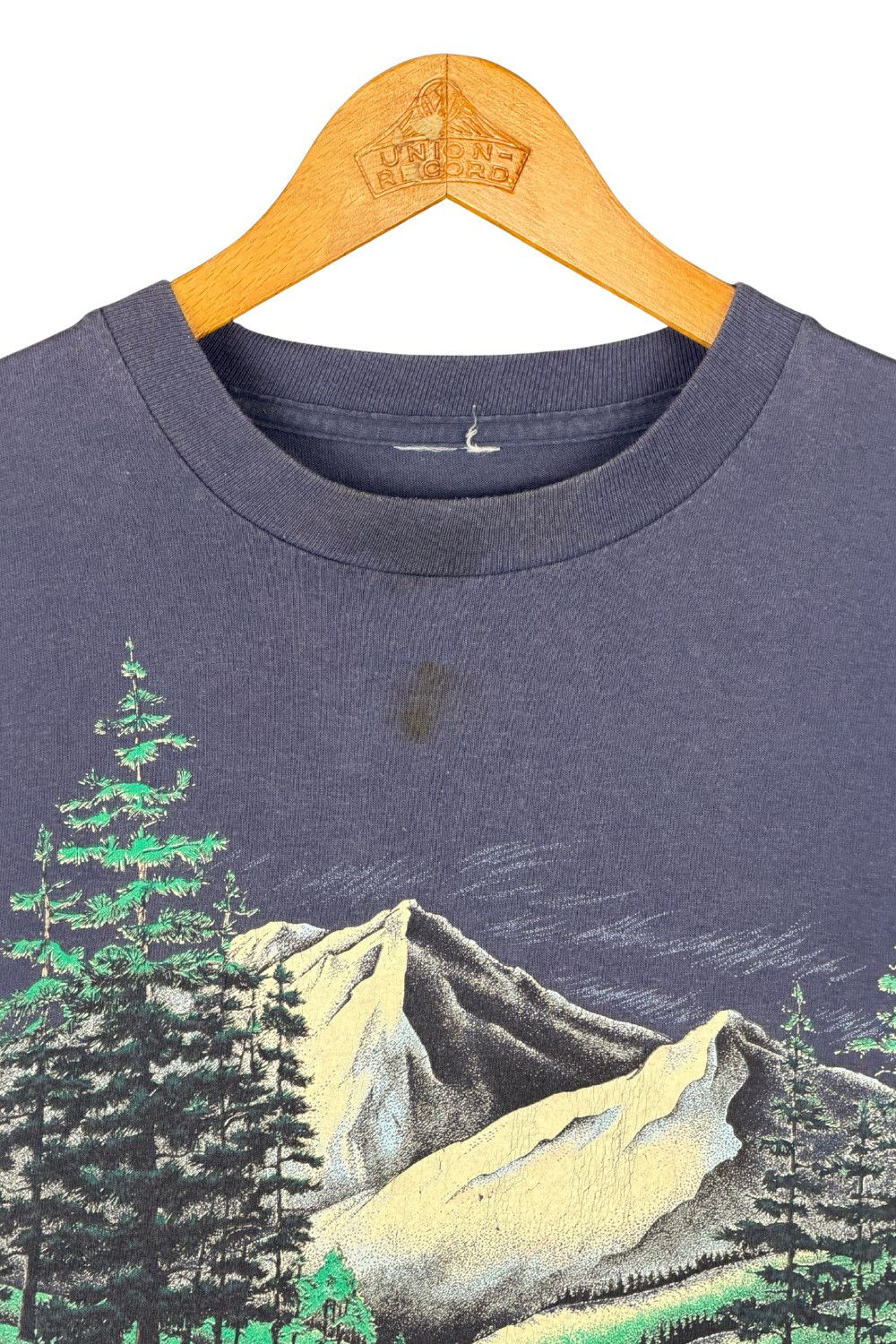 Vintage 90s Blue Ridge Mountains Scenic Tee (Single Stitch) Size US M / EU 48-50 / 2 - 6 Thumbnail