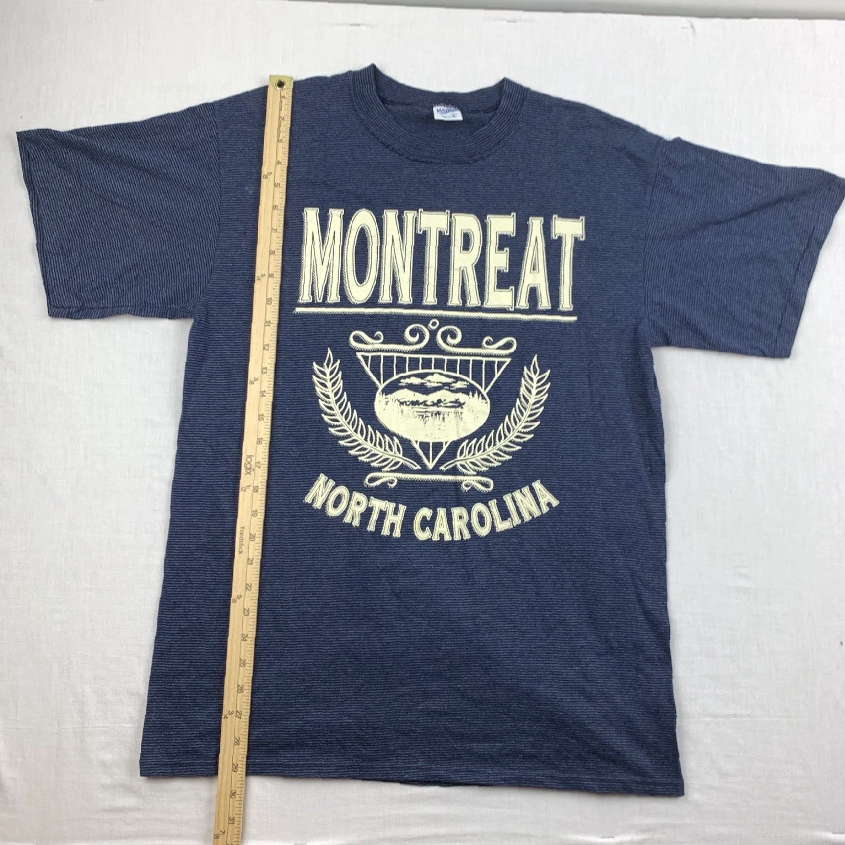 Velva Sheen VINTAGE Velva Sheen Montreat NC Shirt Adult Large Blue Striped Travel 90s Mens T-Shirt Size US L / EU 52-54 / 3 - 7 Thumbnail