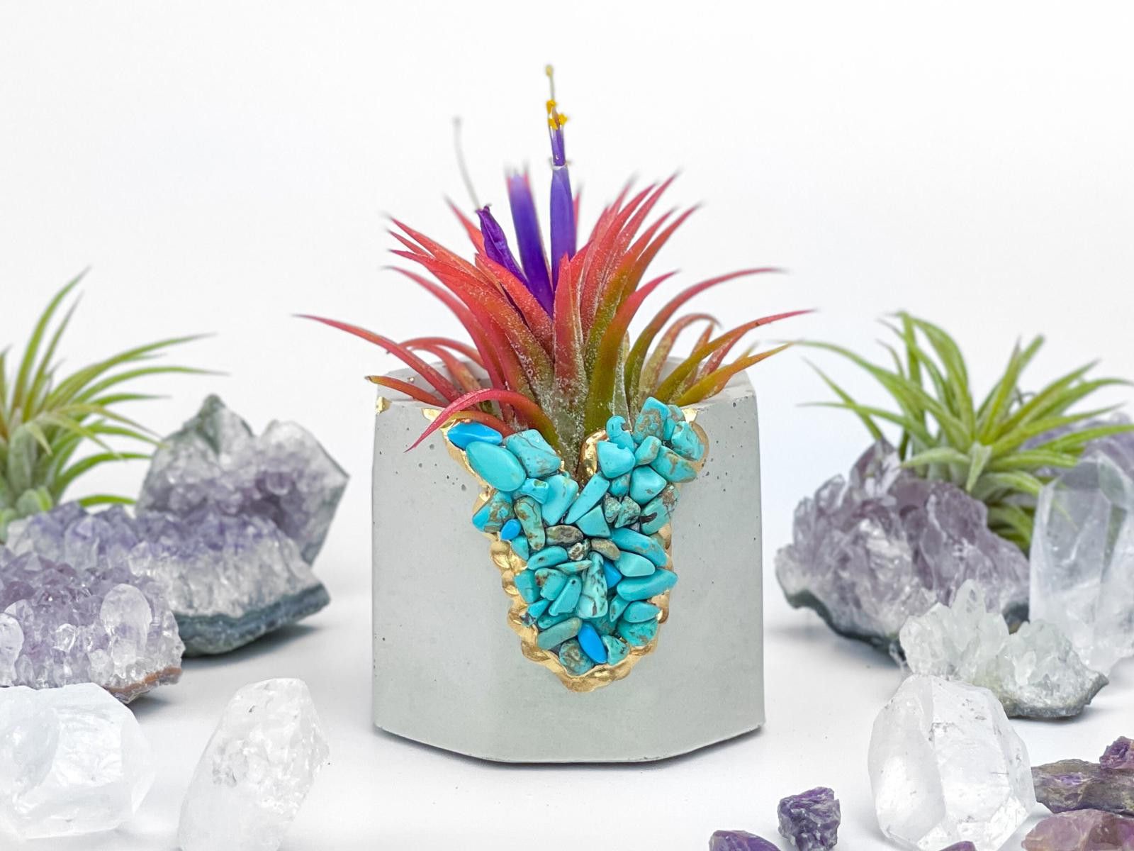 Other Turquoise Crystal Concrete Planter Air Plant Holder Gift Size ONE SIZE - 3 Thumbnail