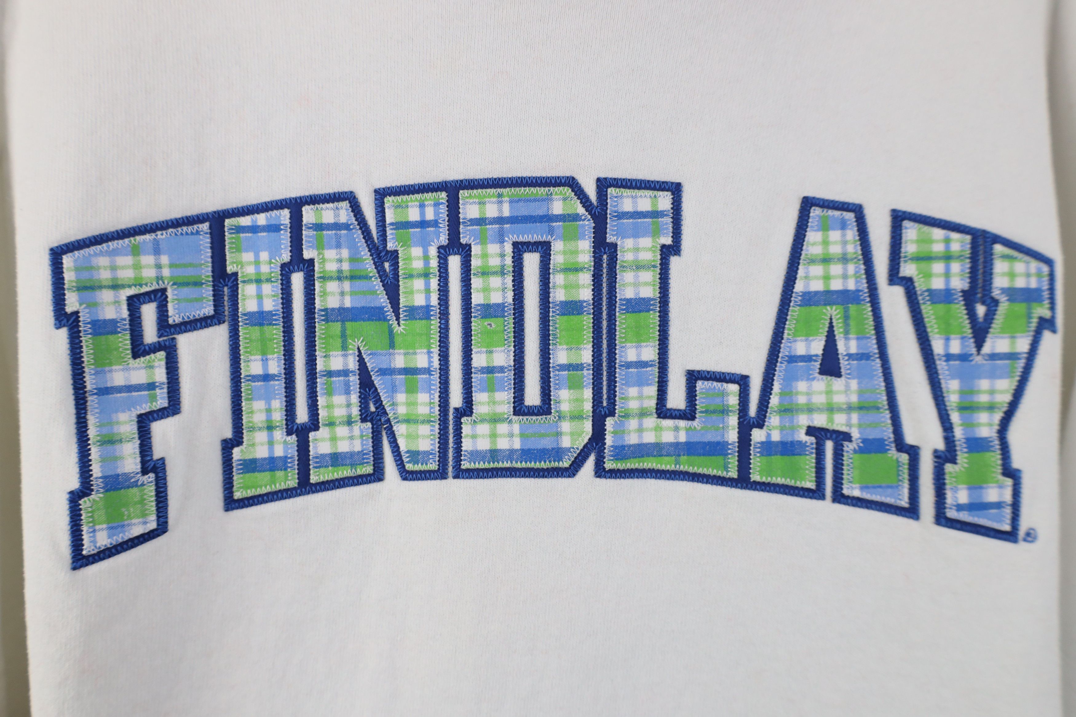 Russell Athletic Vintage 90s Russell Athletic Spell Out Findlay Ohio Hoodie Size L / US 10 / IT 46 - 5 Thumbnail