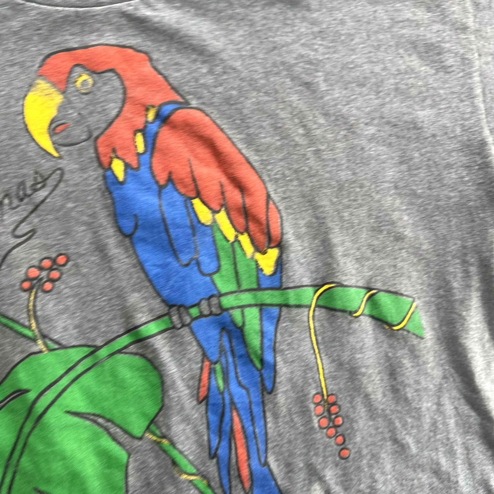 Vintage VINTAGE St Thomas Parrot Graphic T-Shirt Men XL Gray 90s Tropical Bird Souvenir Size US XL / EU 56 / 4 - 7 Thumbnail