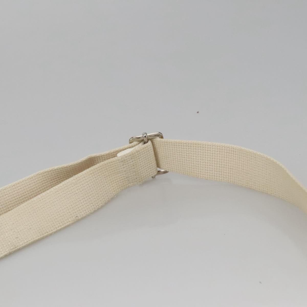 Dior DIOR Trotter Canvas Shoulder Bag White Size ONE SIZE - 8 Thumbnail