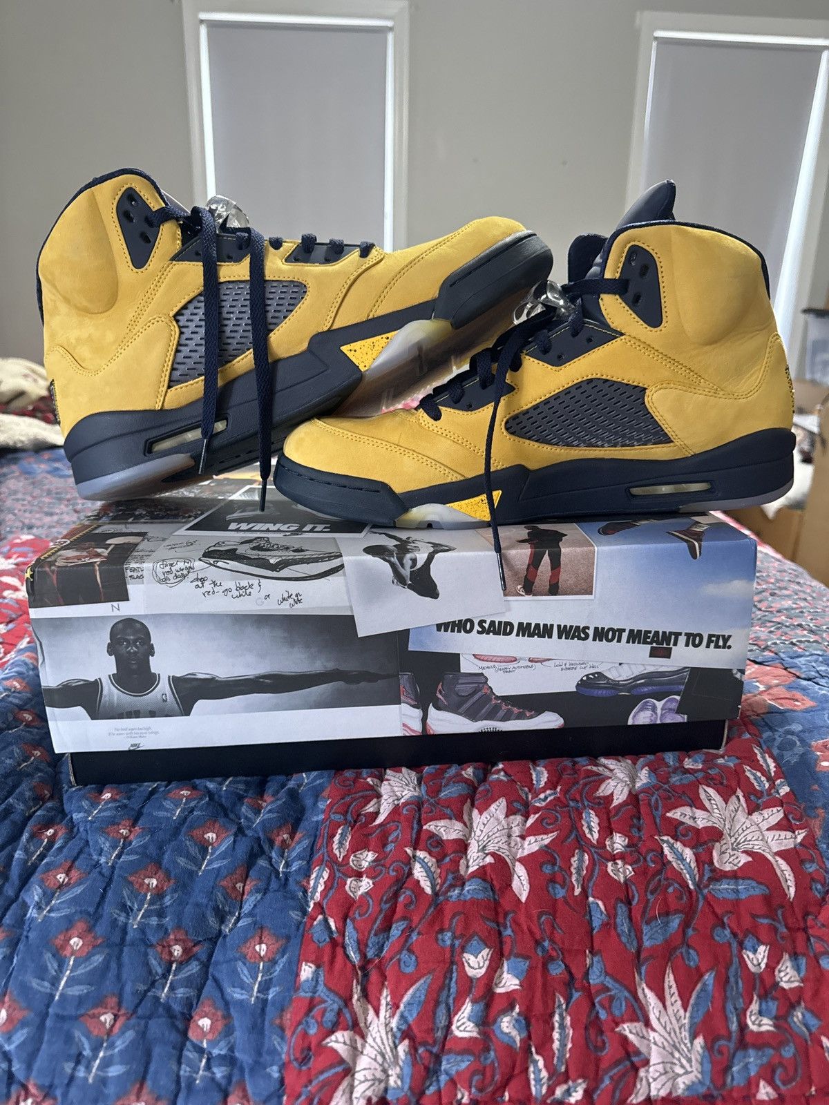 Jordan Retro Michigan (2019)