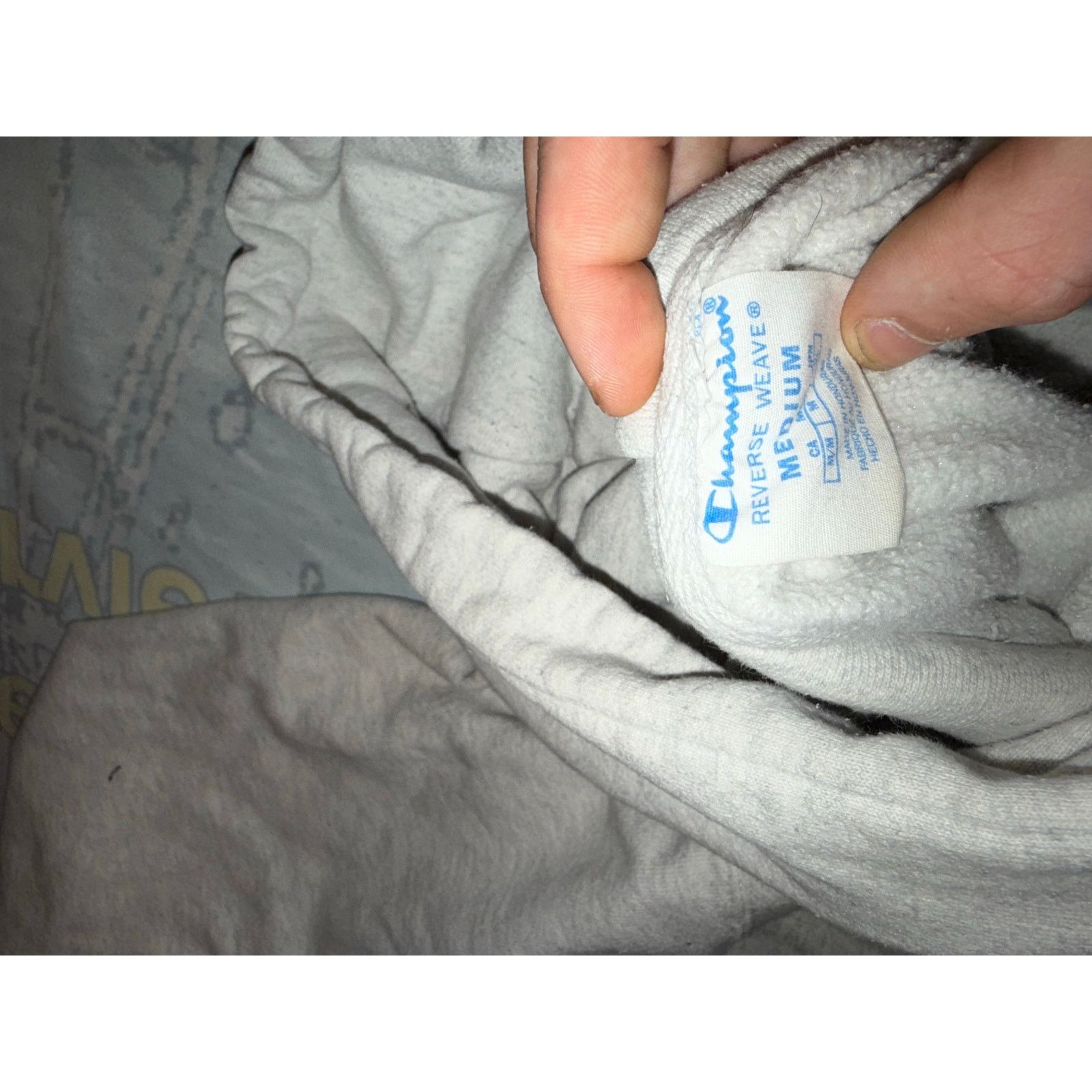Champion Champion Hoodie with Minor Stain Size US M / EU 48-50 / 2 - 2 Thumbnail