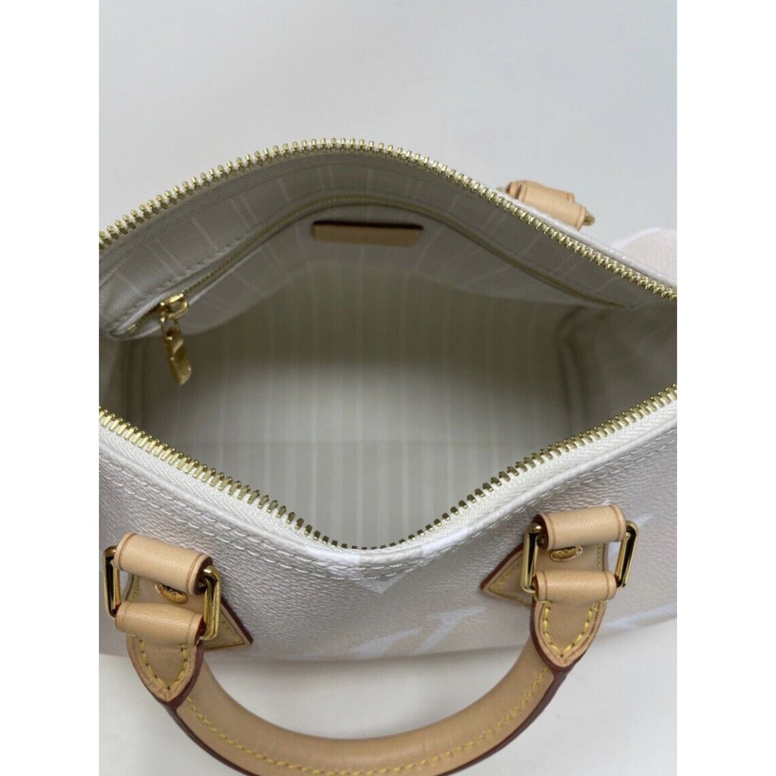 Louis Vuitton Louis Vuitton Speedy 25 Bandouliere By The Pool Brume Mist Size ONE SIZE - 12 Thumbnail
