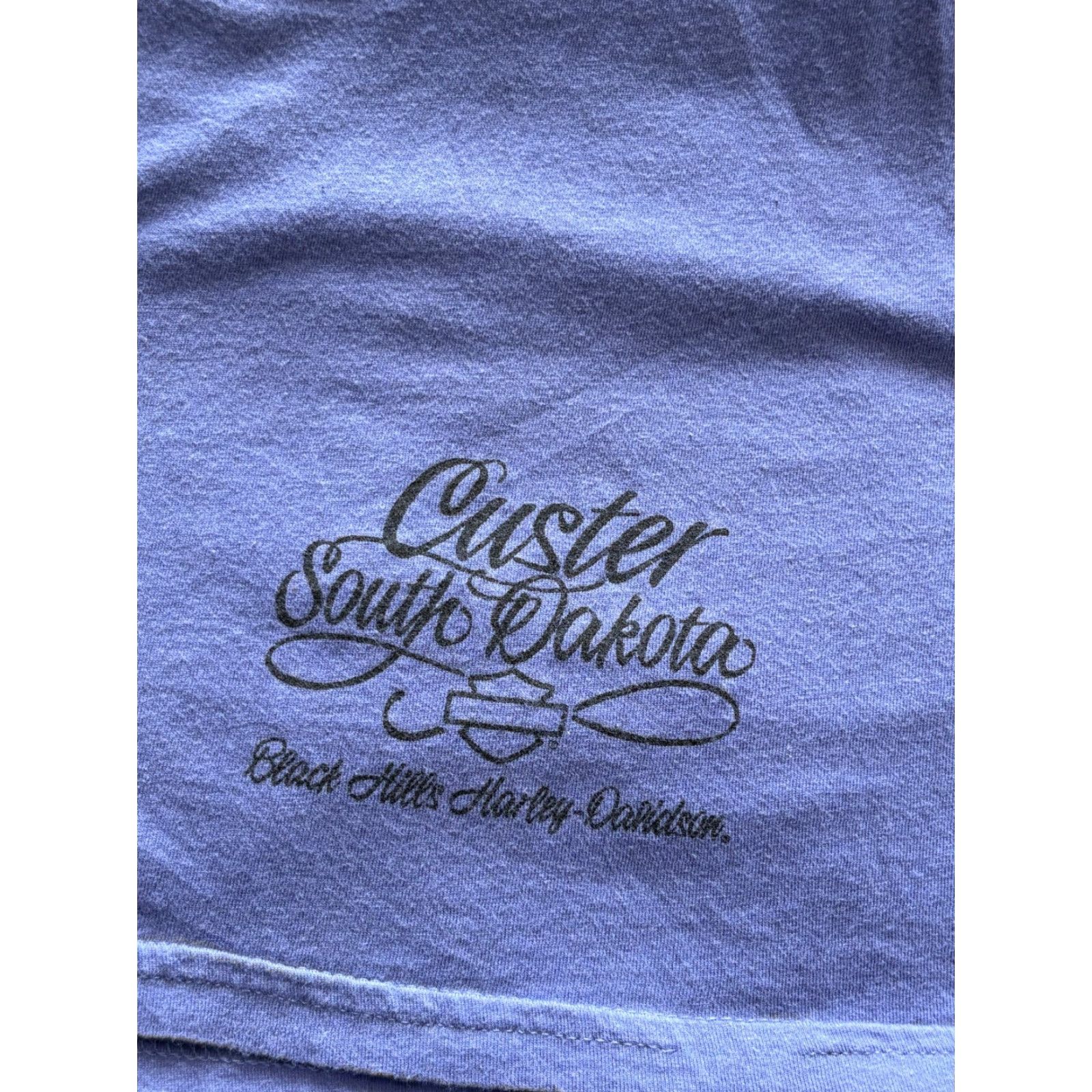 Harley Davidson VINTAGE Harley-Davidson Top Womens XL Blue Cotton Custer South Dakota Blouse Short Sleeve Motorcycle USA Womens XL Blue Cotton Harley-Davidson Size XL / US 12-14 / IT 48-50 - 7 Thumbnail