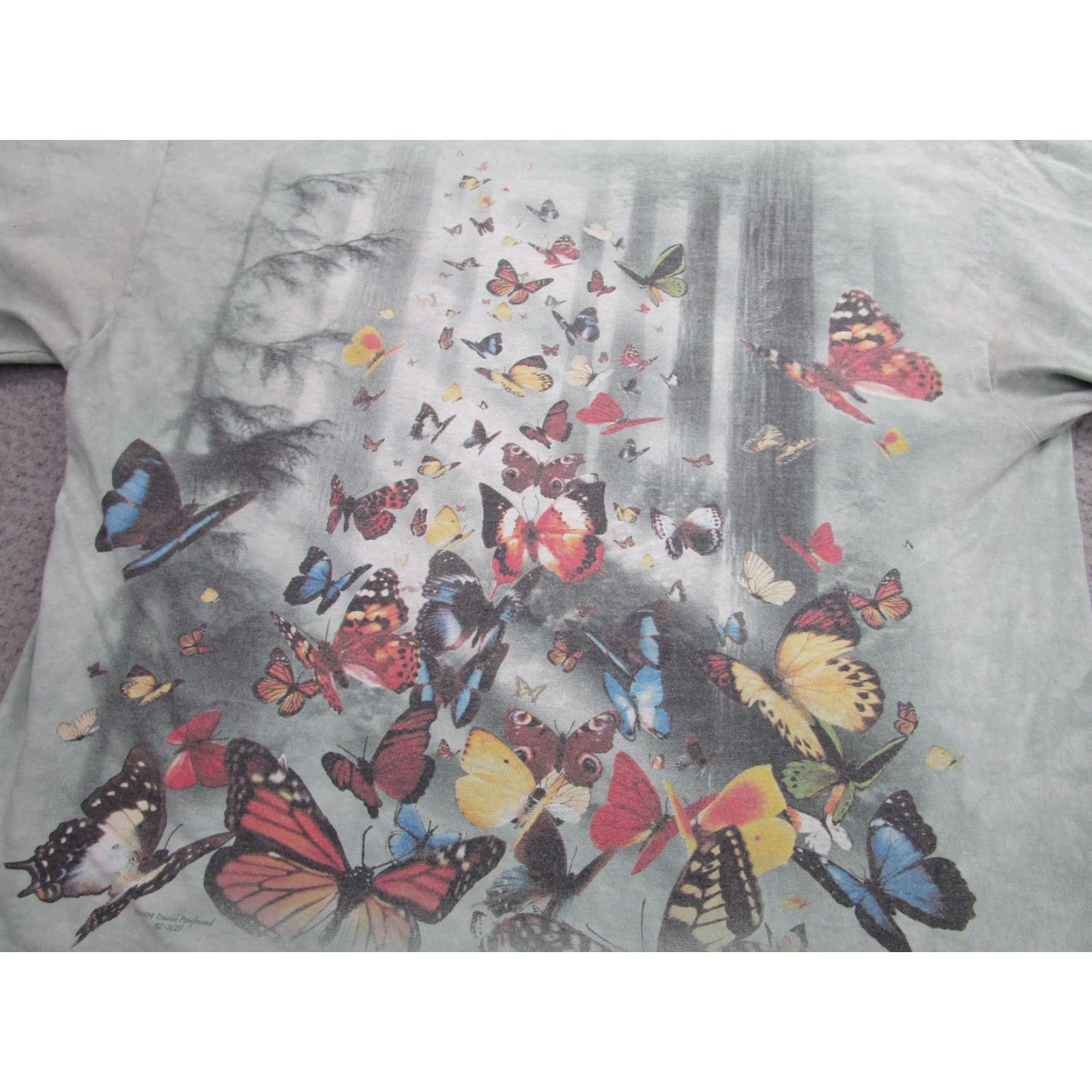 Vintage VINTAGE David Penfound Butterfly Shirt Adult XL Green Graphic Tee 2000s Nature Forest Psychedelic Mens Size US L / EU 52-54 / 3 - 2 Thumbnail