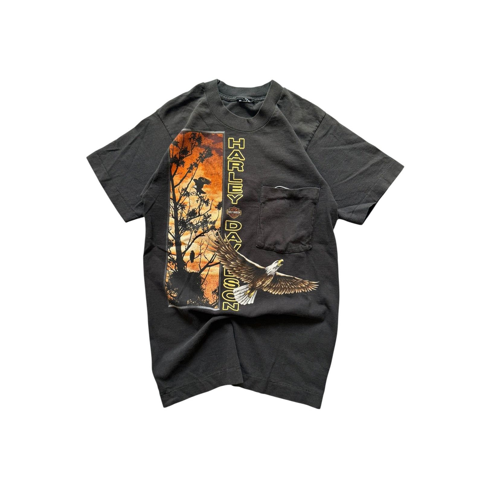 Vintage Vintage HD Zion Eagle Desert Sunset Pocket Tee Size US S / EU 44-46 / 1 - 1 Thumbnail