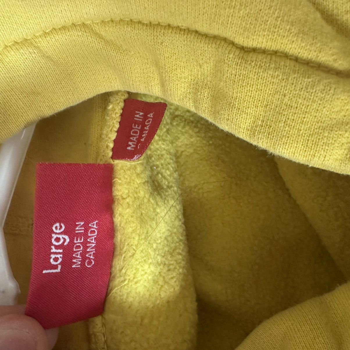 Supreme Supreme Apple Hoodie Size US L / EU 52-54 / 3 - 4 Thumbnail