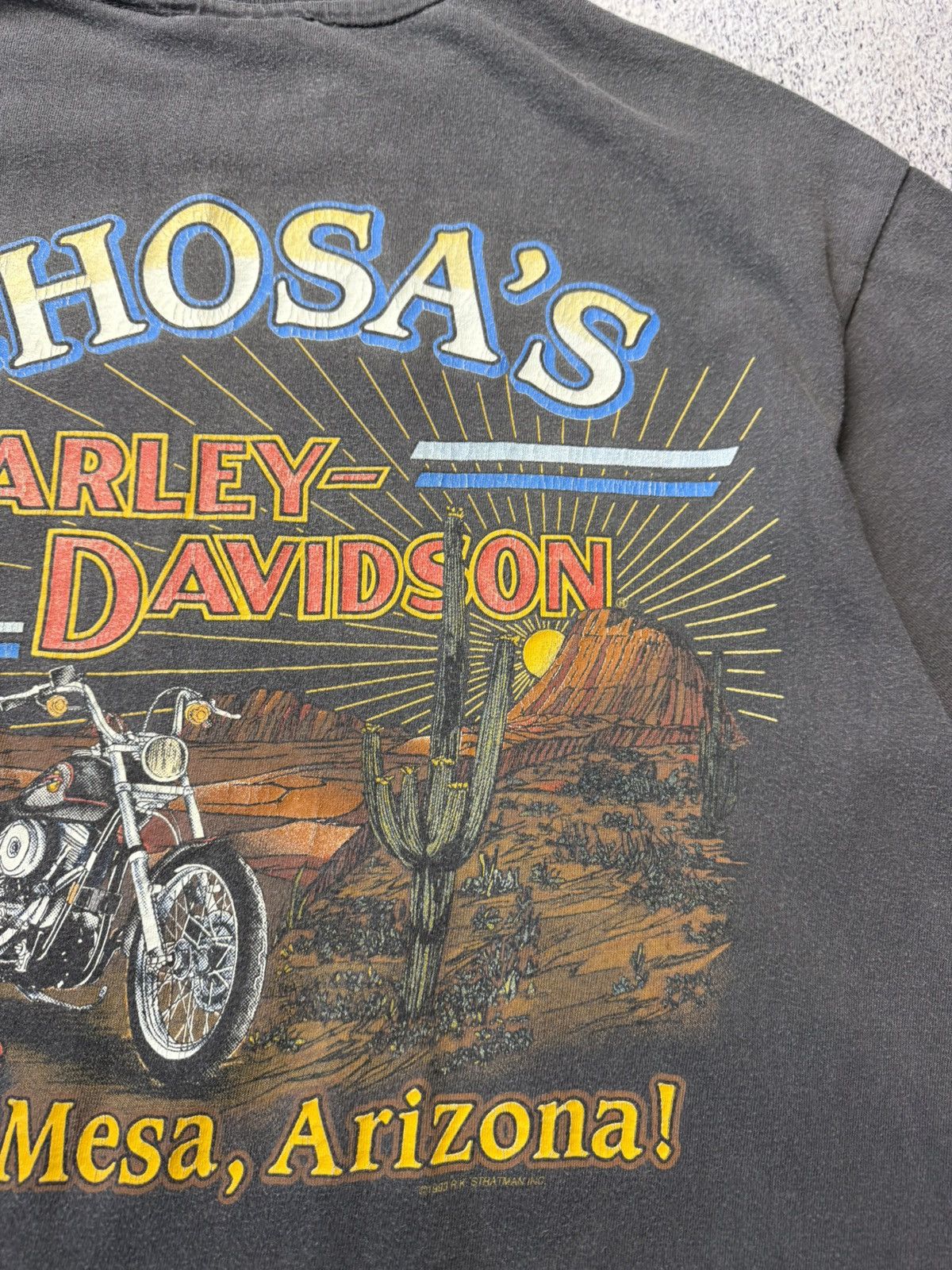Harley Davidson Vintage Harley Davidson 1993 USA Chosa’s Mesa Arizona Y2K Size US L / EU 52-54 / 3 - 20 Thumbnail