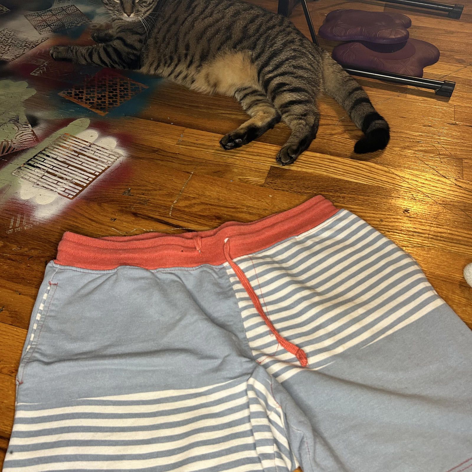 Other N Boundaries Men's Casual Shorts - Striped and Stylish! Size US 32 / EU 48 - 1 Thumbnail
