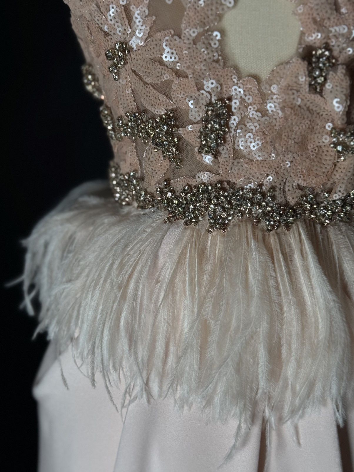 Marchesa Brand New US 6 Marchesa Maxi Gown with Feather Detail Size M / US 6-8 / IT 42-44 - 5 Thumbnail